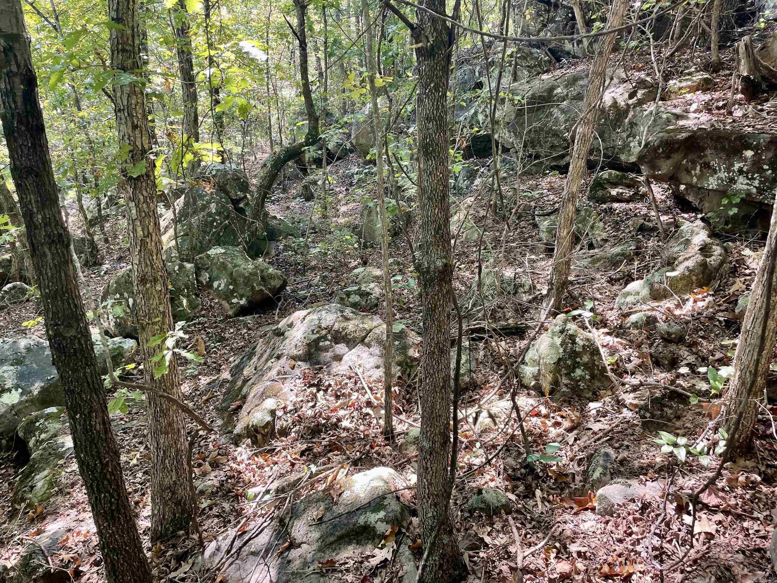 002 Brownsville Road  Higden, AR