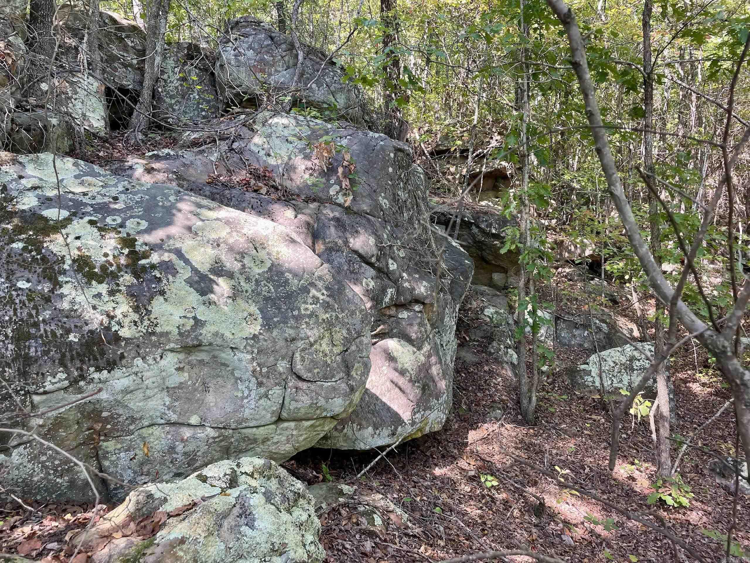 002 Brownsville Road  Higden, AR