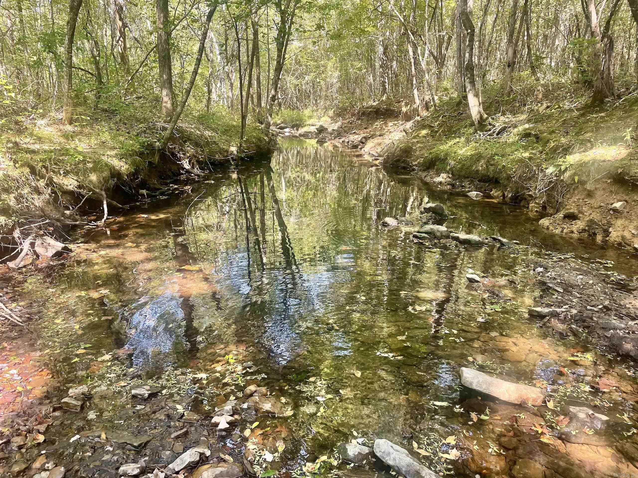 002 Brownsville Road  Higden, AR