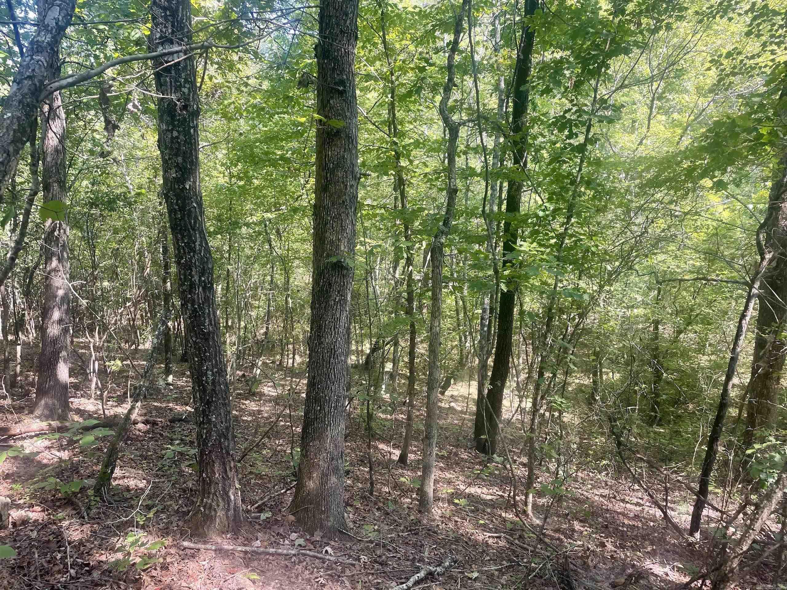 002 Brownsville Road  Higden, AR