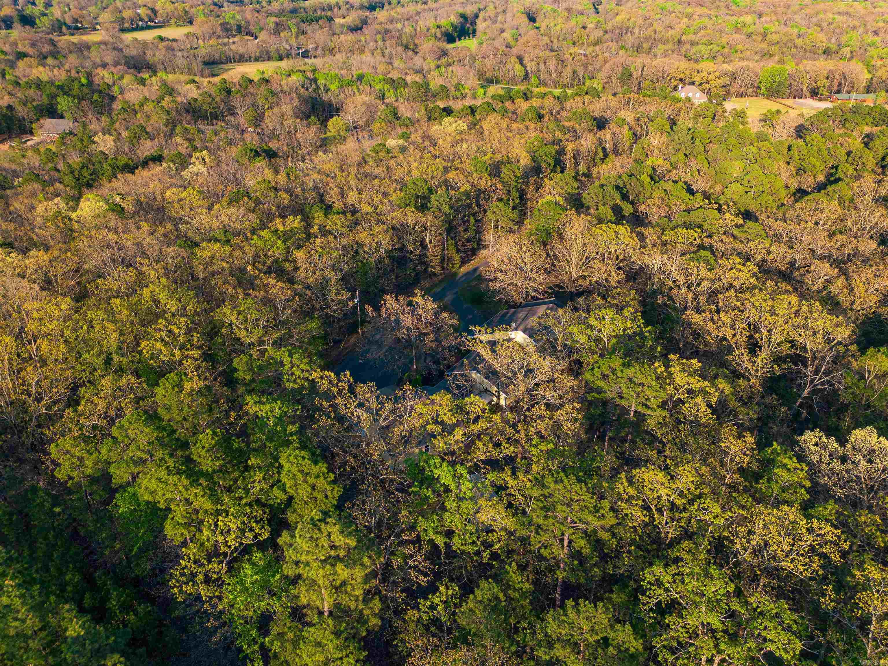 16725 Highway 300 Highway Roland, AR 72135