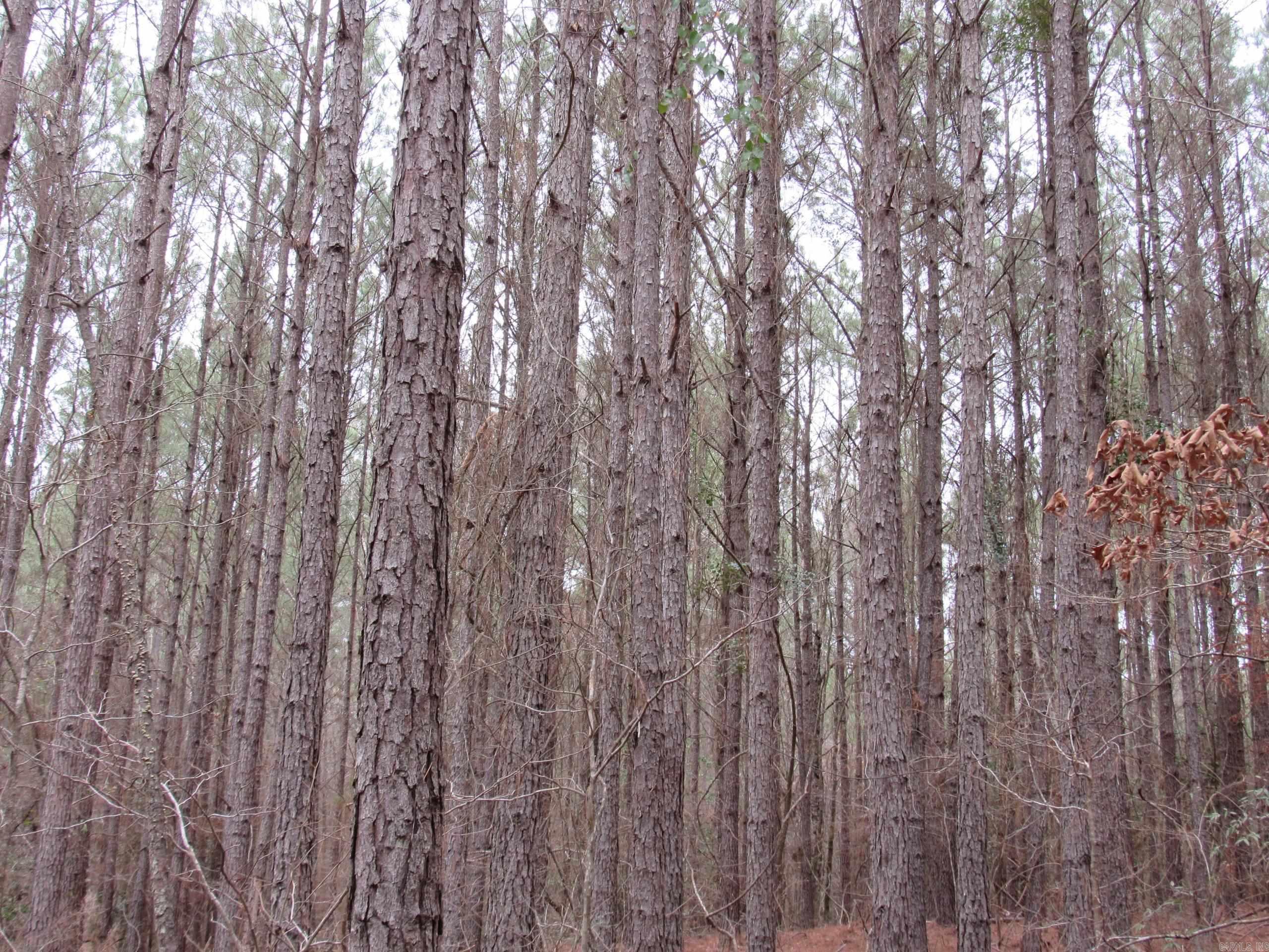 000 HWY 160  Smackover, AR