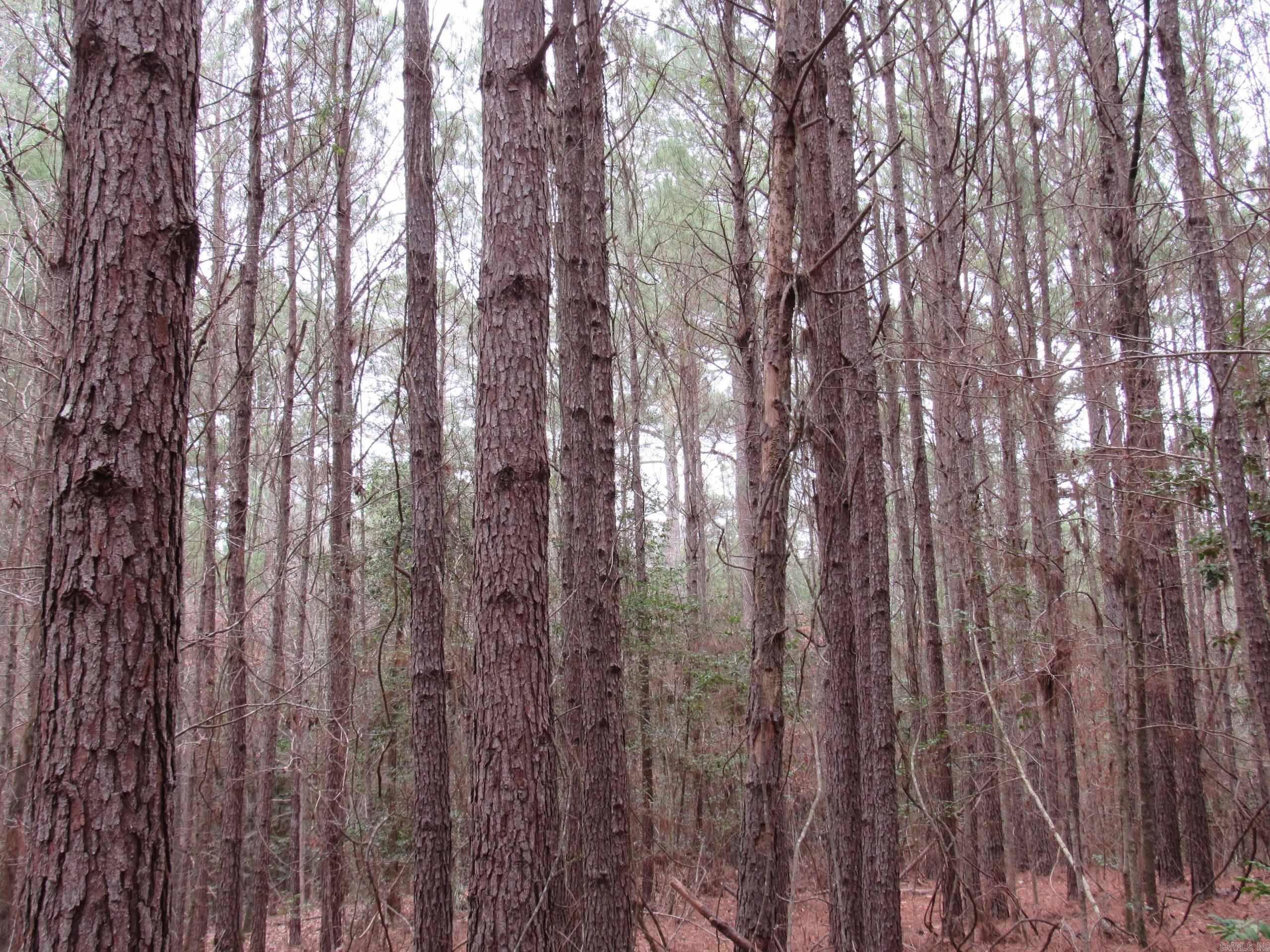 000 HWY 160  Smackover, AR