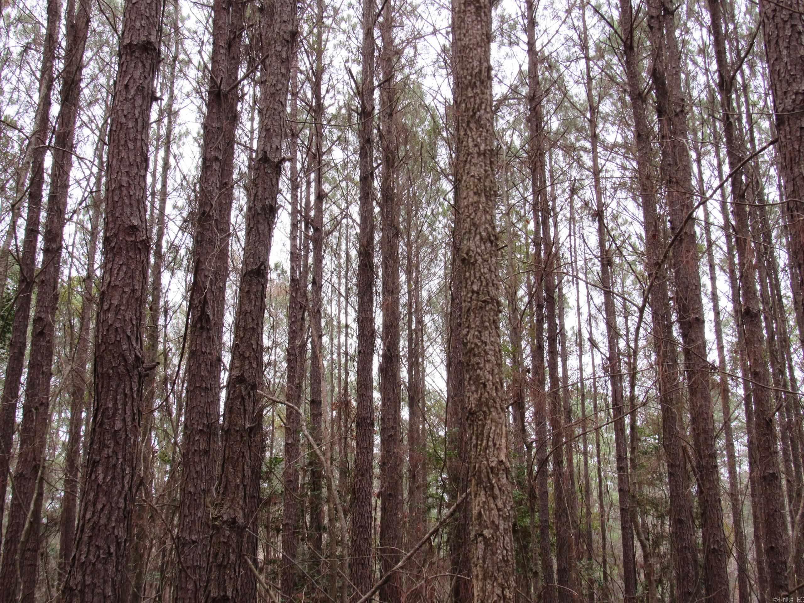 000 HWY 160  Smackover, AR