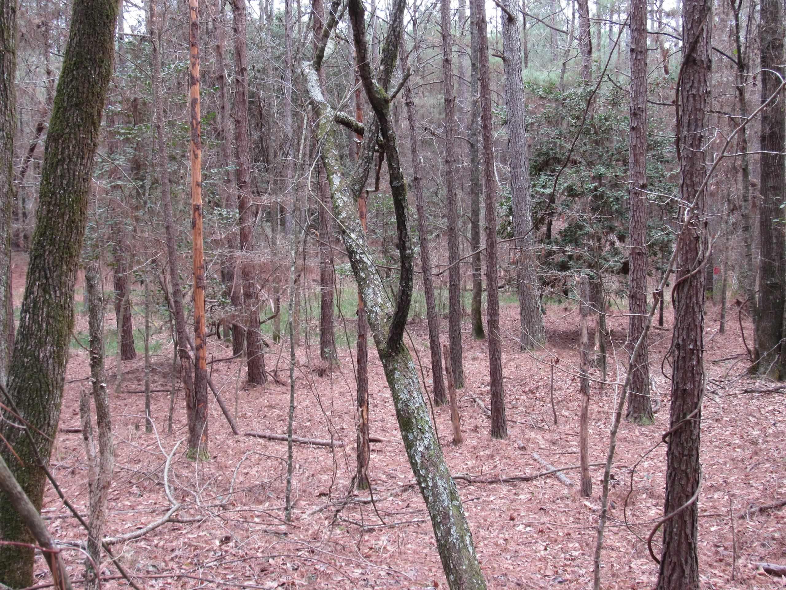 000 HWY 160  Smackover, AR