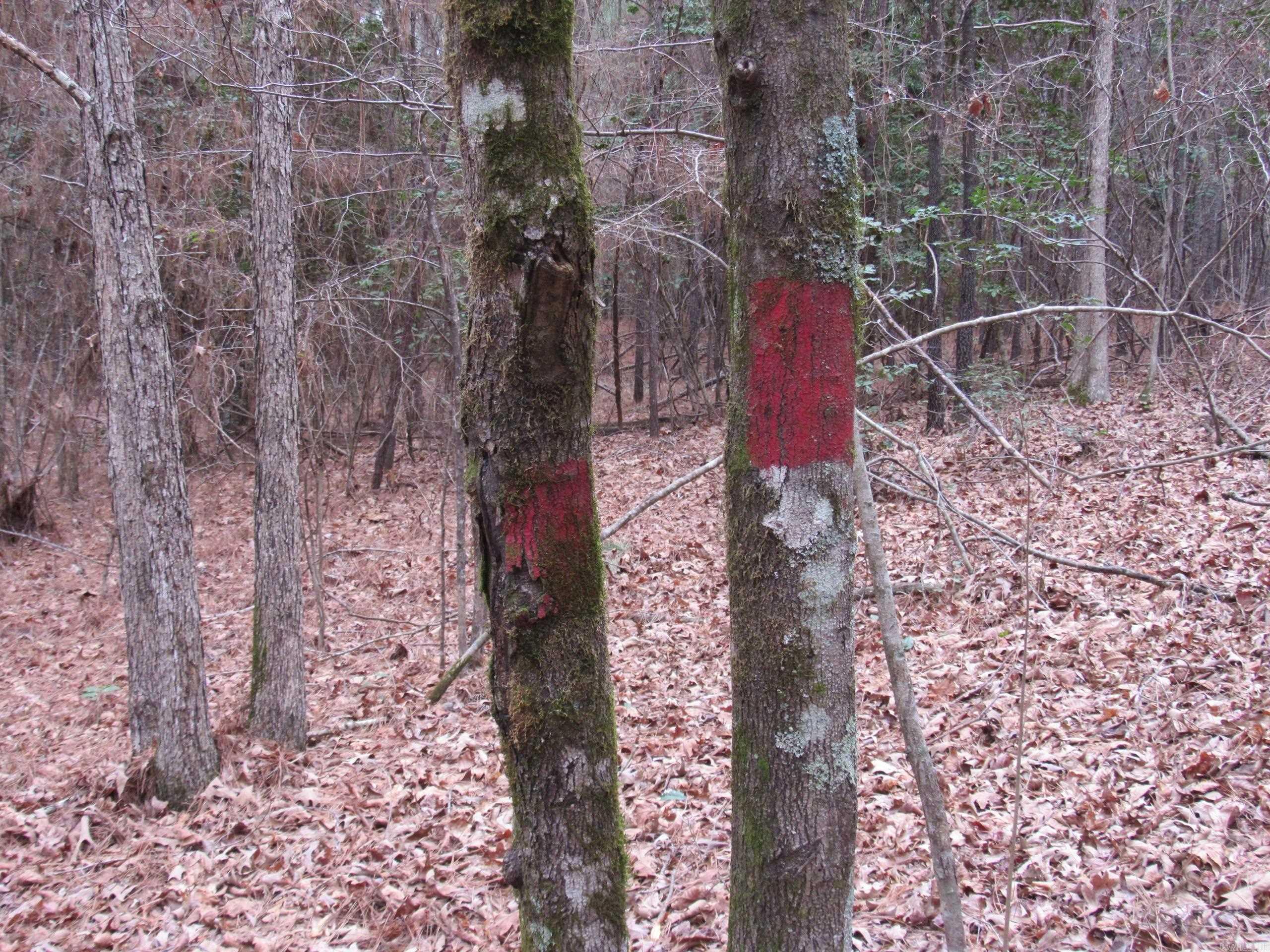 000 HWY 160  Smackover, AR