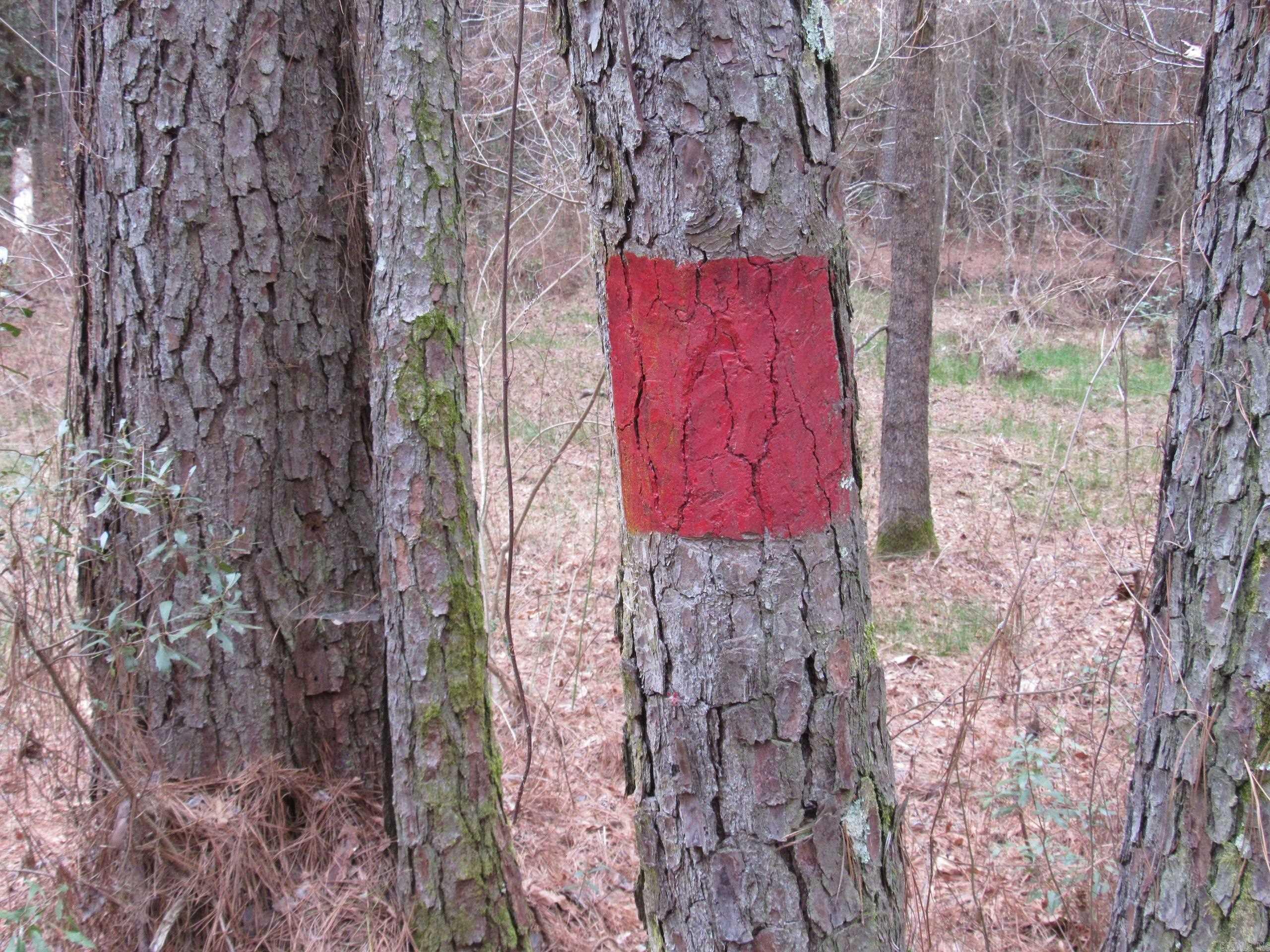 000 HWY 160  Smackover, AR