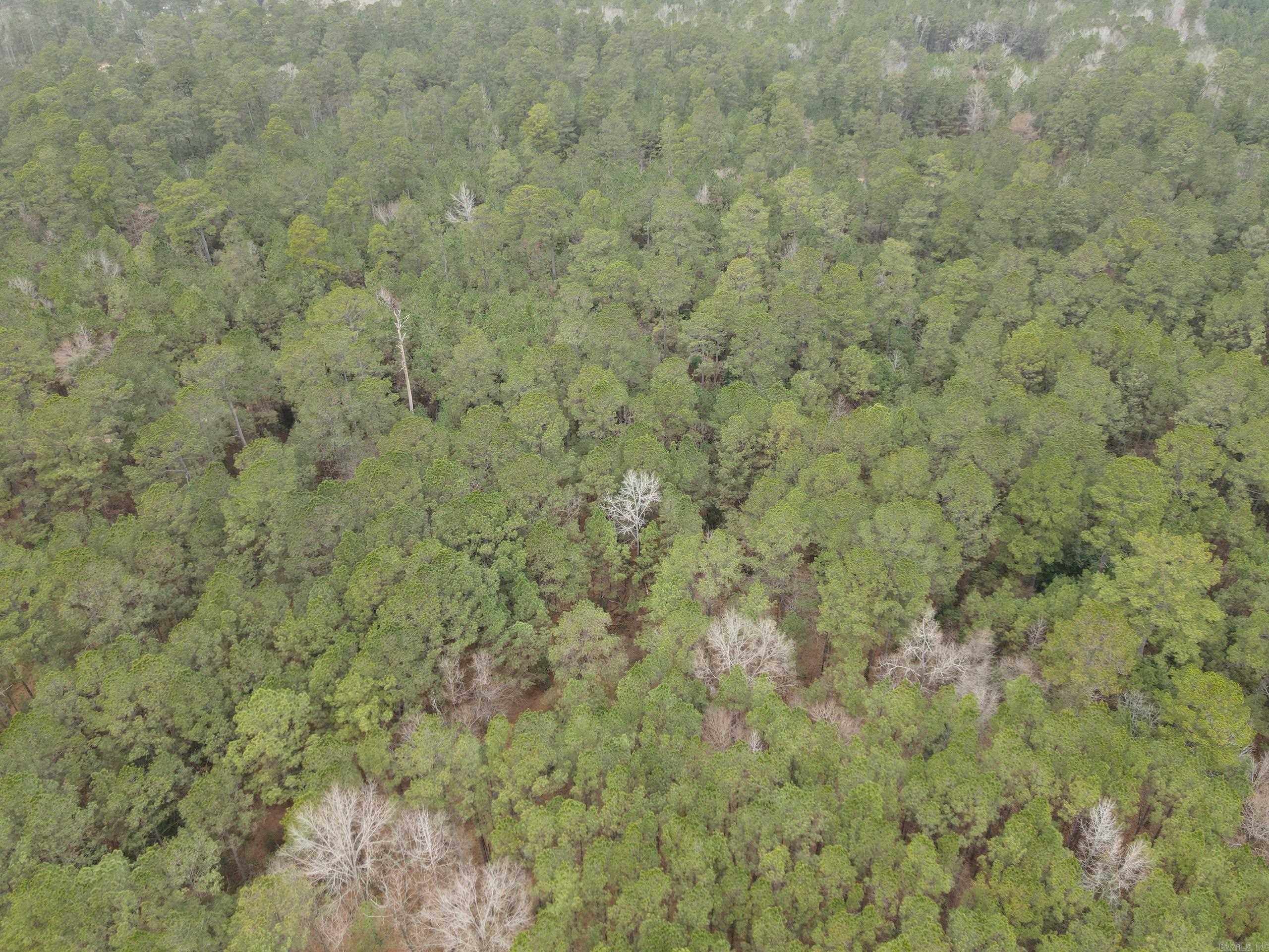 000 HWY 160  Smackover, AR