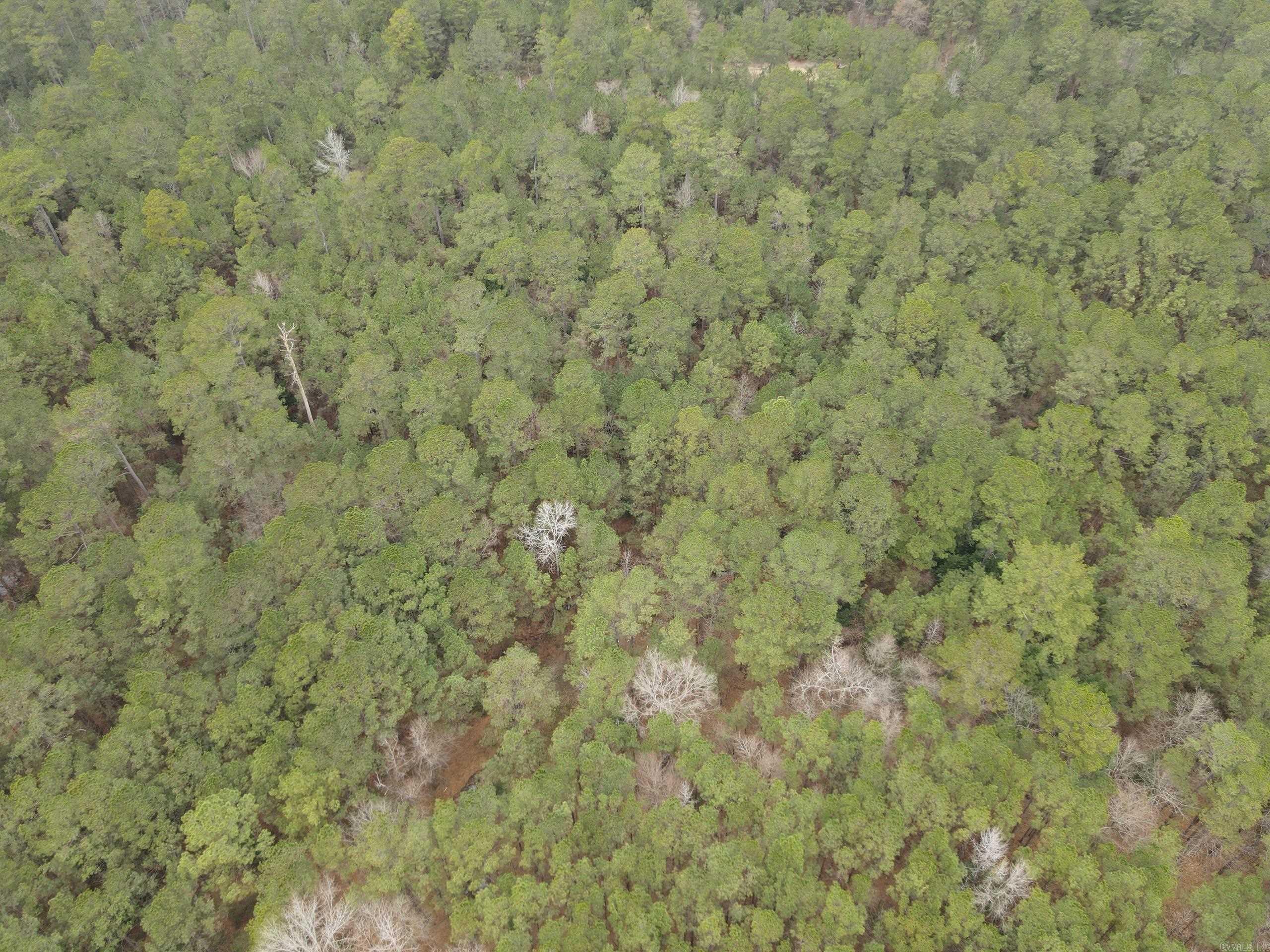 000 HWY 160  Smackover, AR