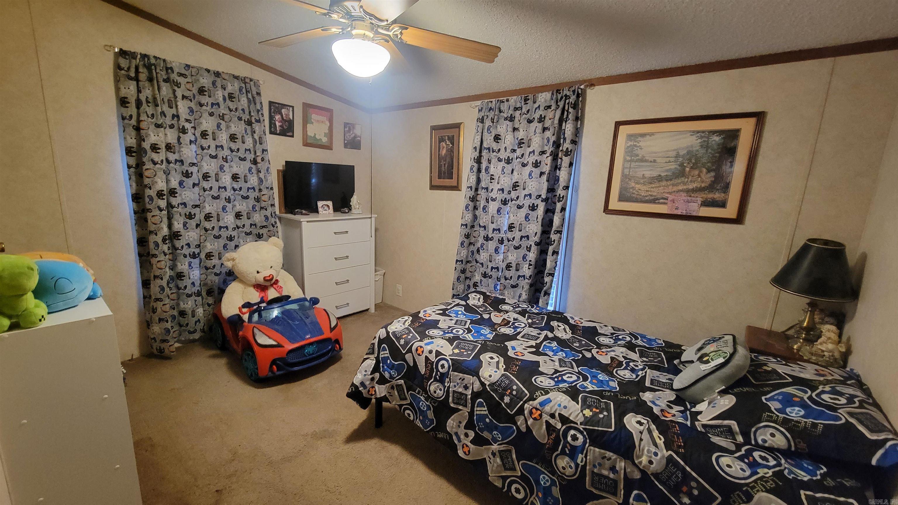 376 1st  Black Rock, AR