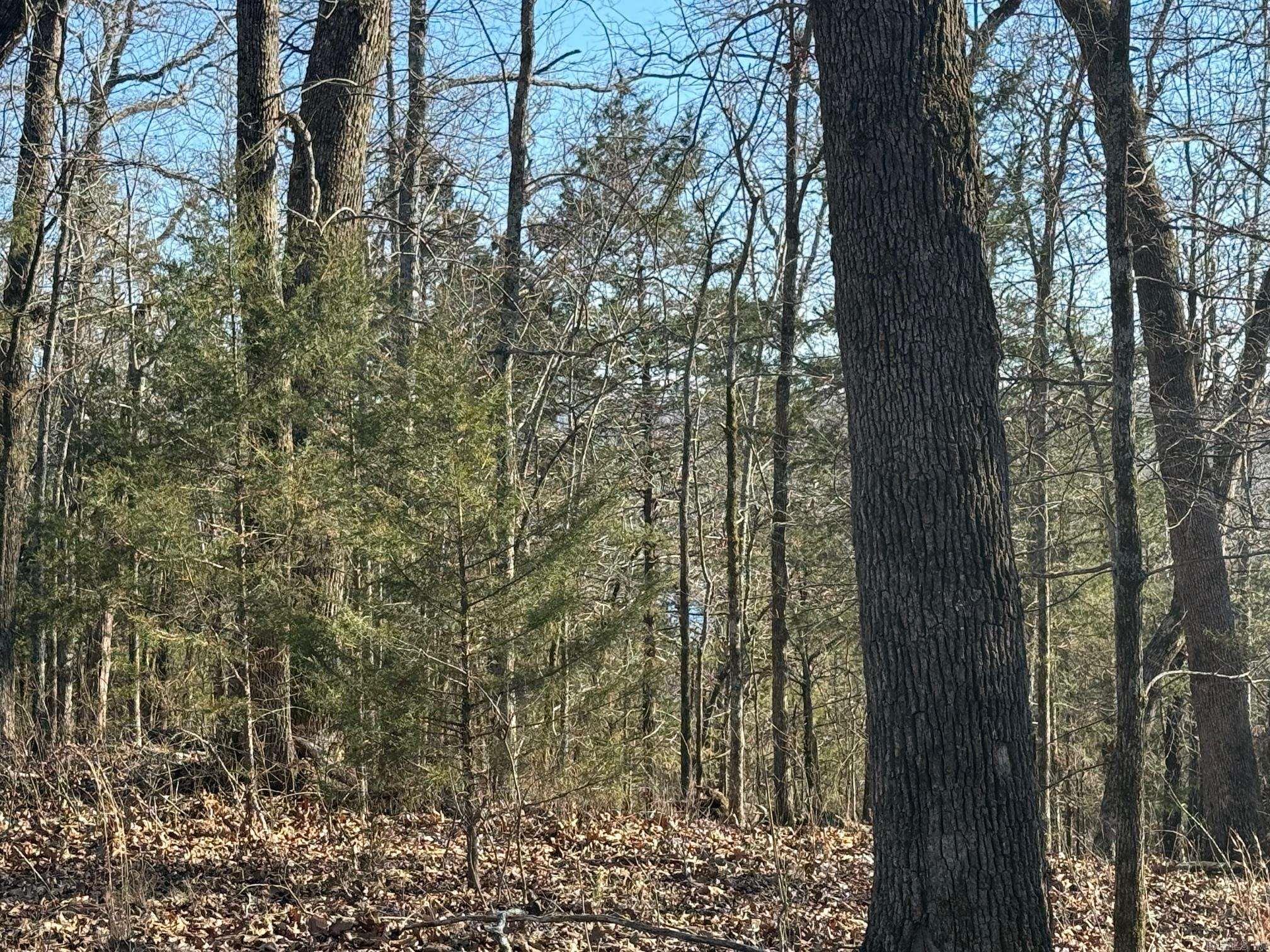 Lots 15, 16 Panther Cove Drive  Mountain Home, AR