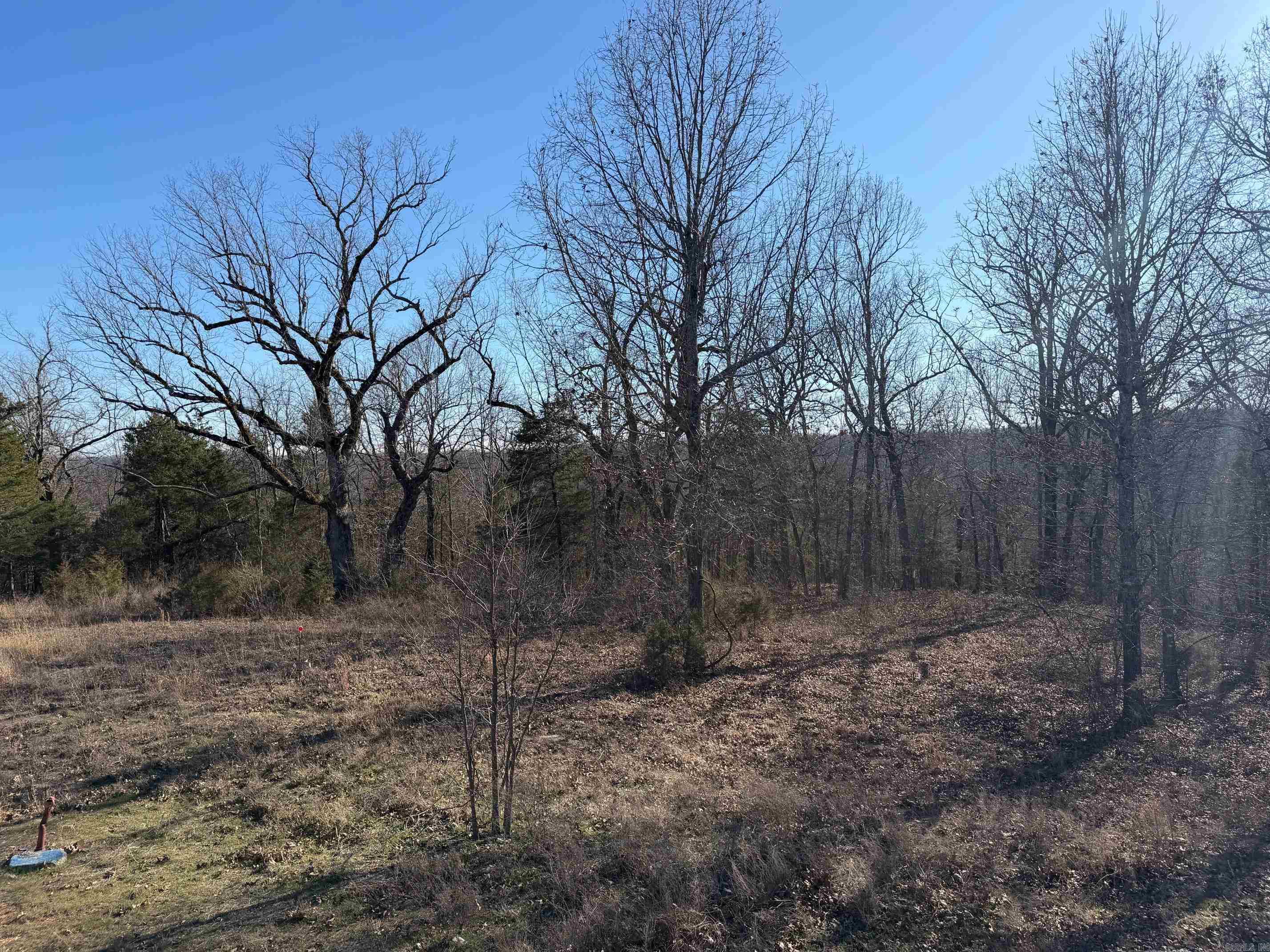 Lots 15, 16 Panther Cove Drive  Mountain Home, AR