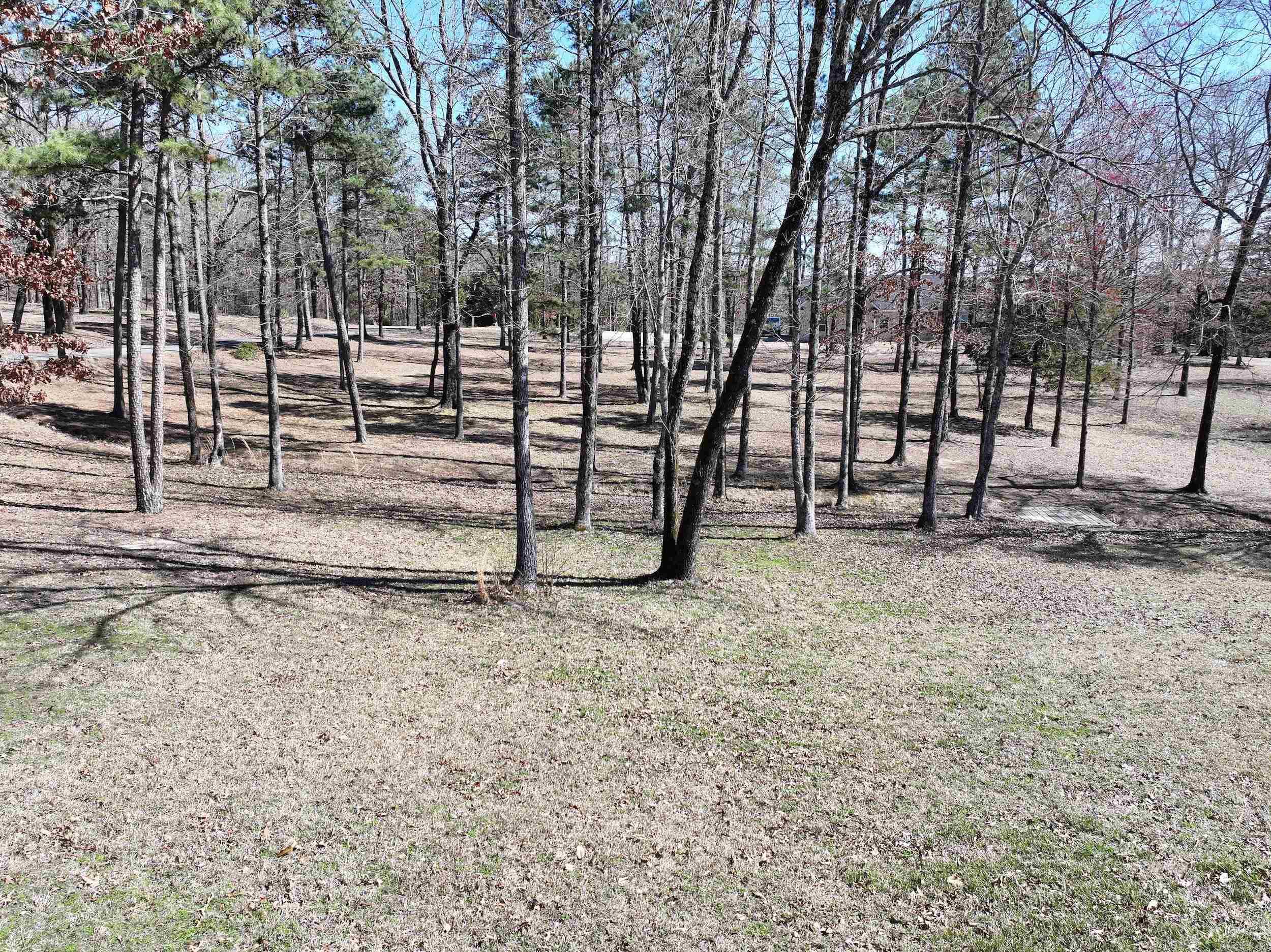 759 N BUMBLEBEE  Glenwood, AR