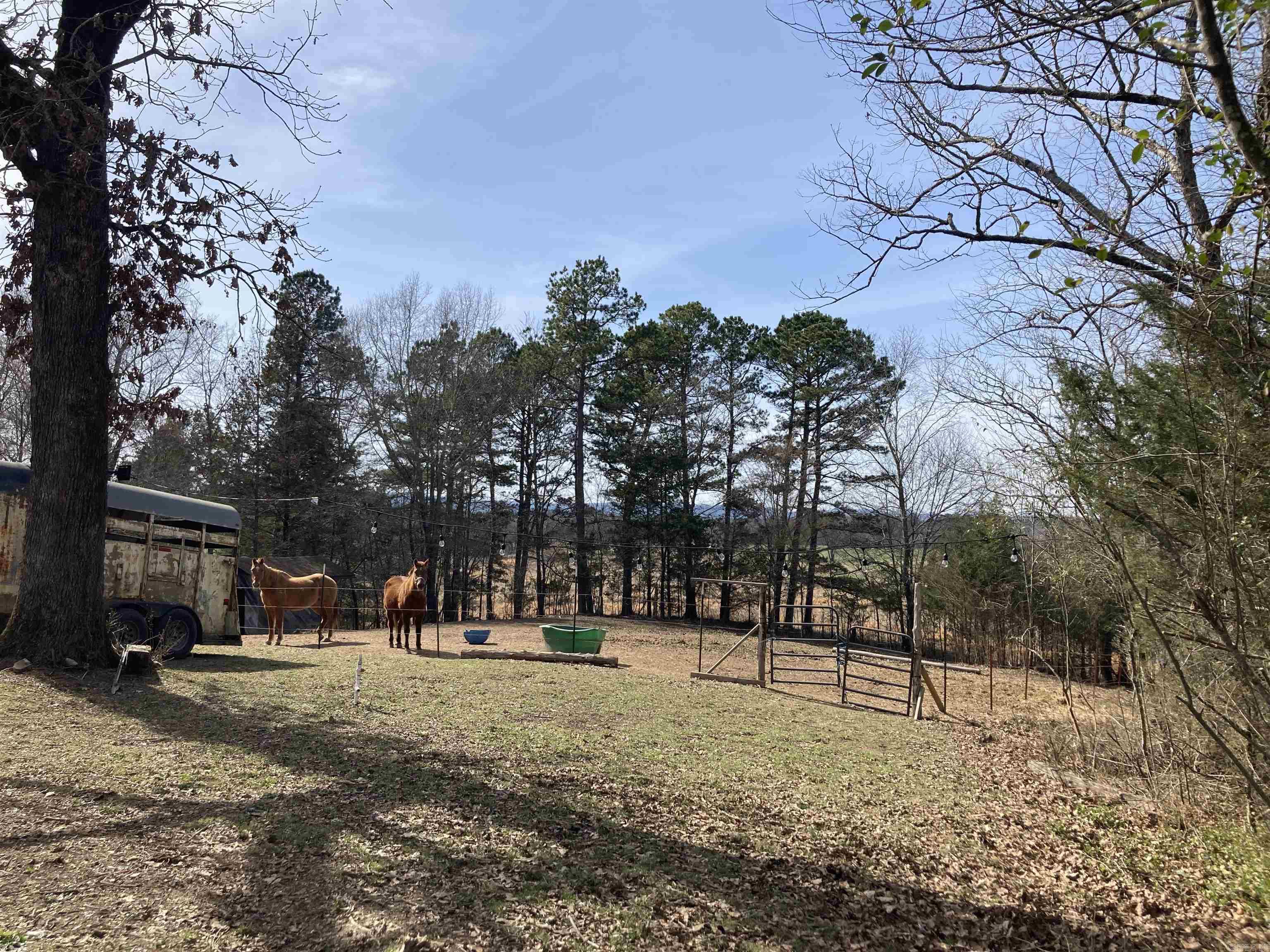 137 Goldsmith  Mena, AR