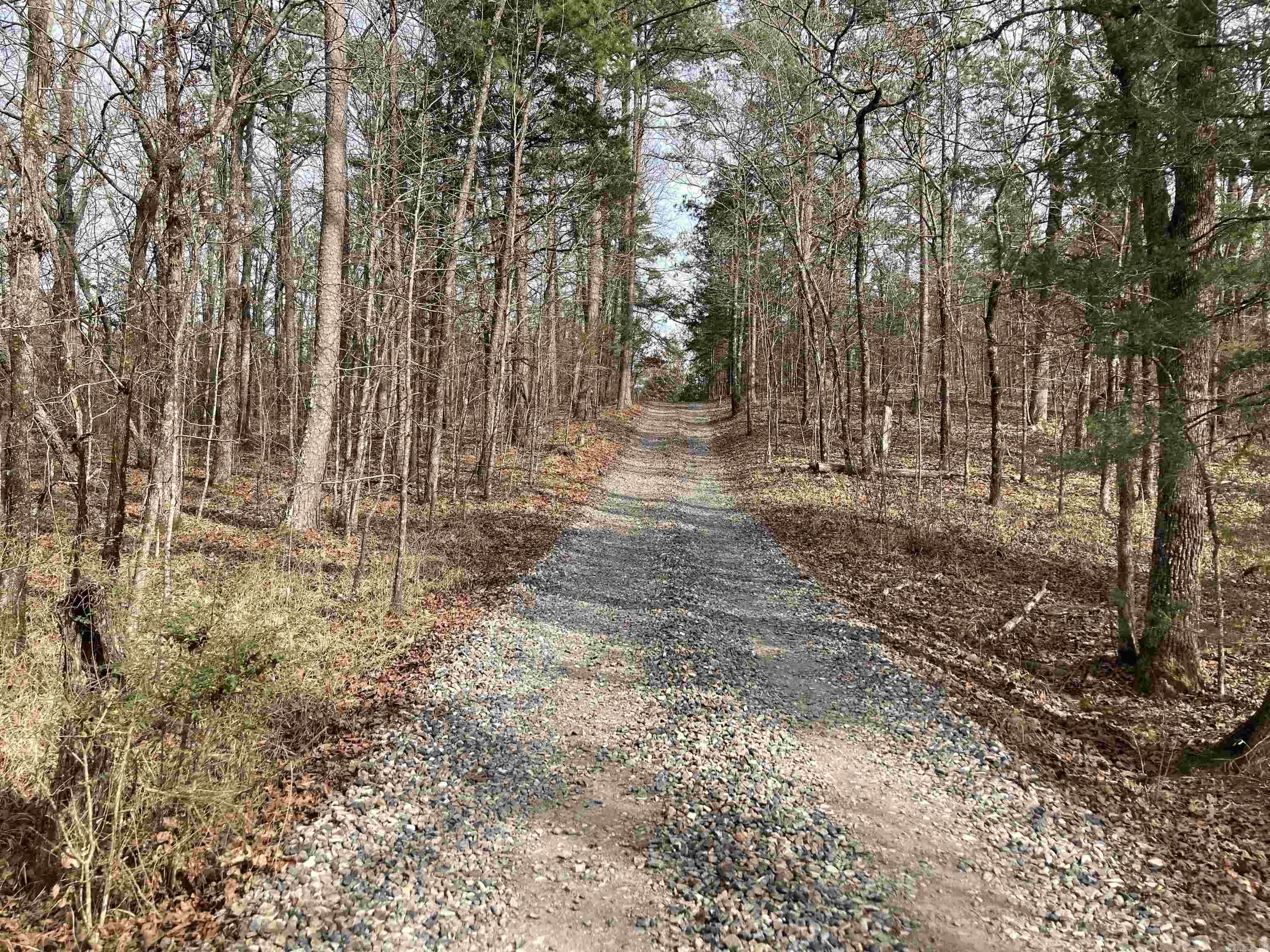 137 Goldsmith  Mena, AR