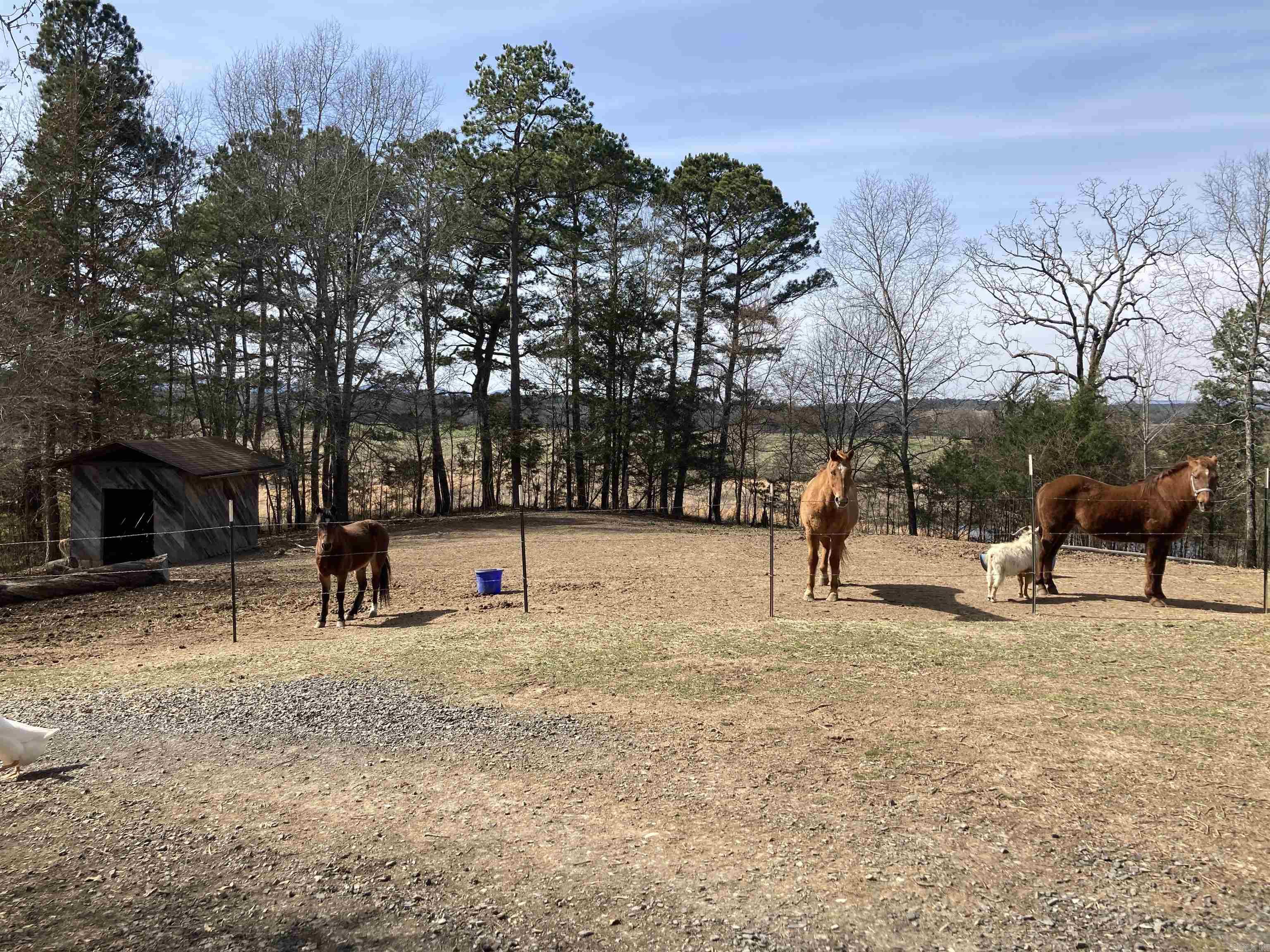 137 Goldsmith  Mena, AR