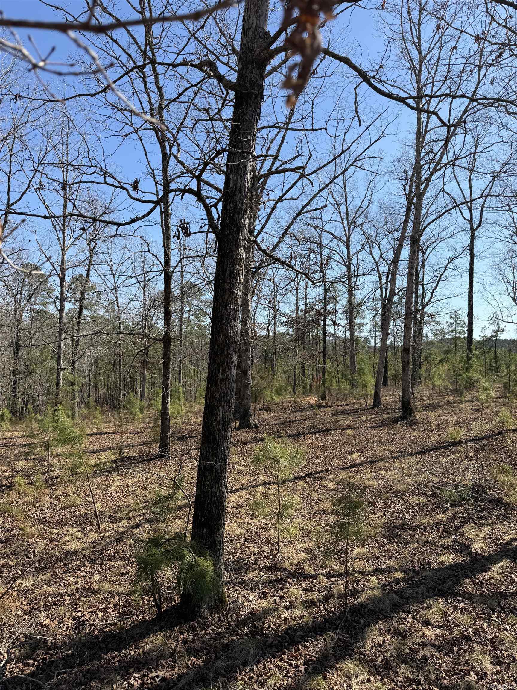 22533 Sulphur Springs Road  Benton, AR