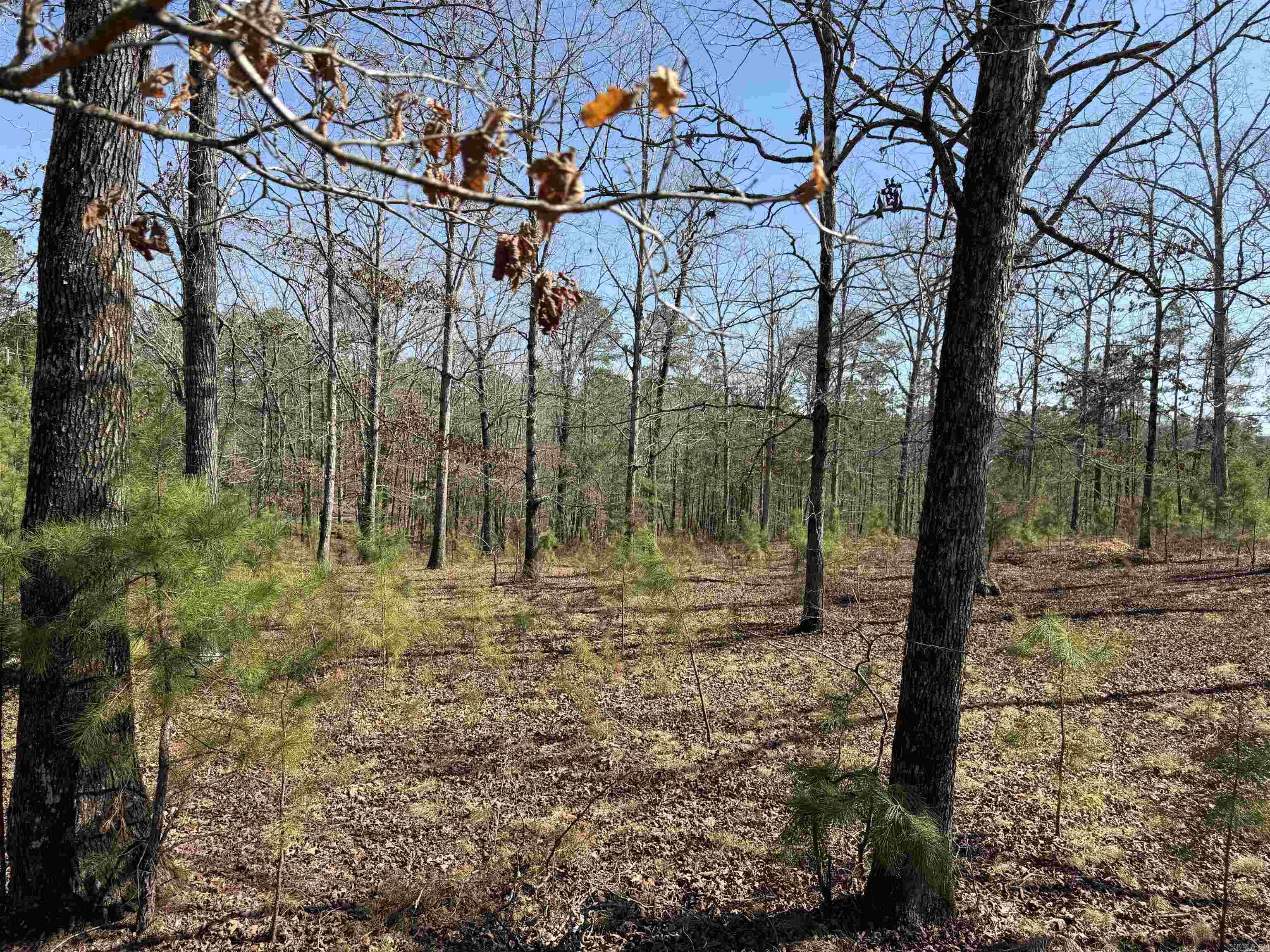 22533 Sulphur Springs Road  Benton, AR