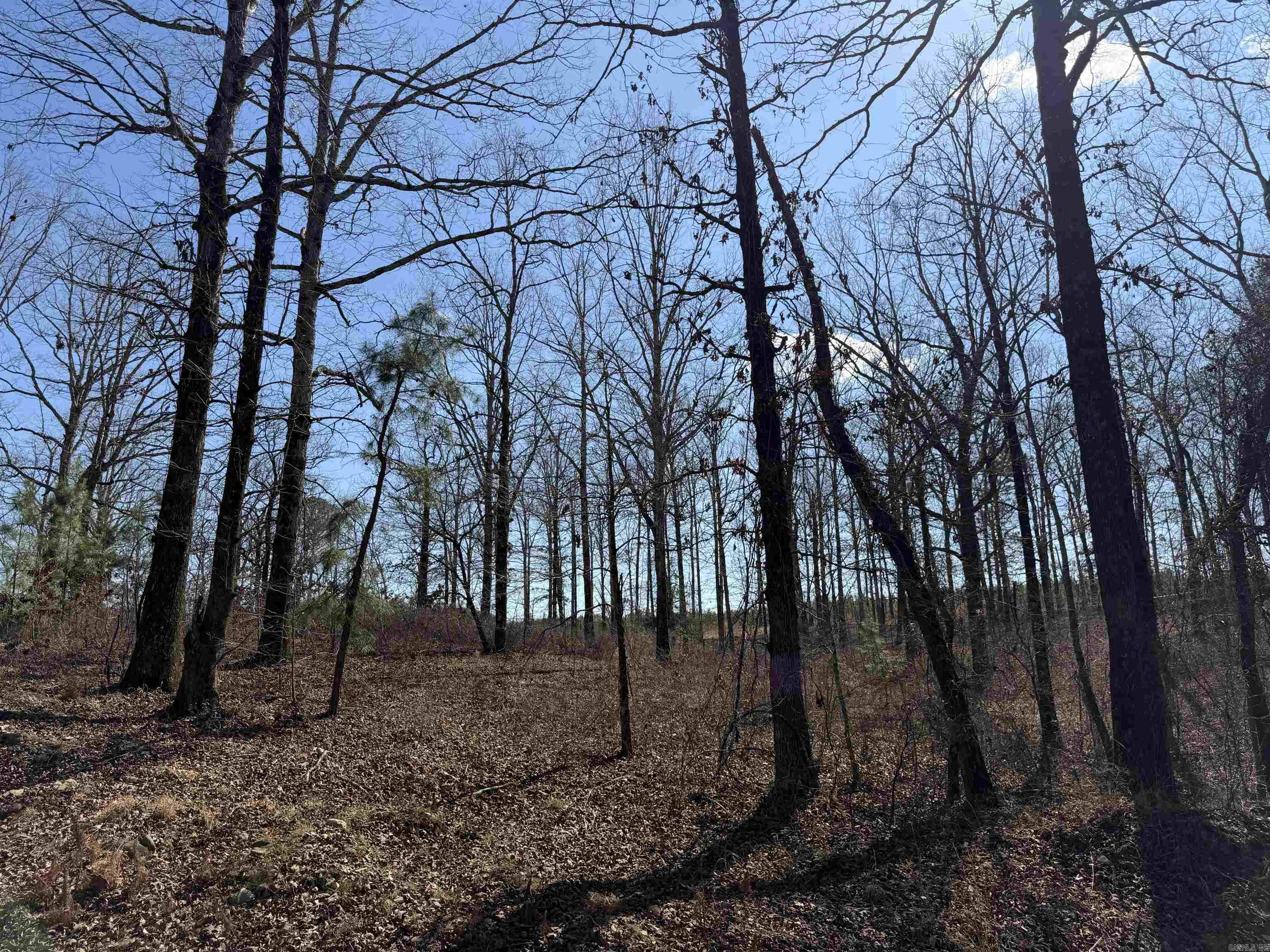 22533 Sulphur Springs Road  Benton, AR