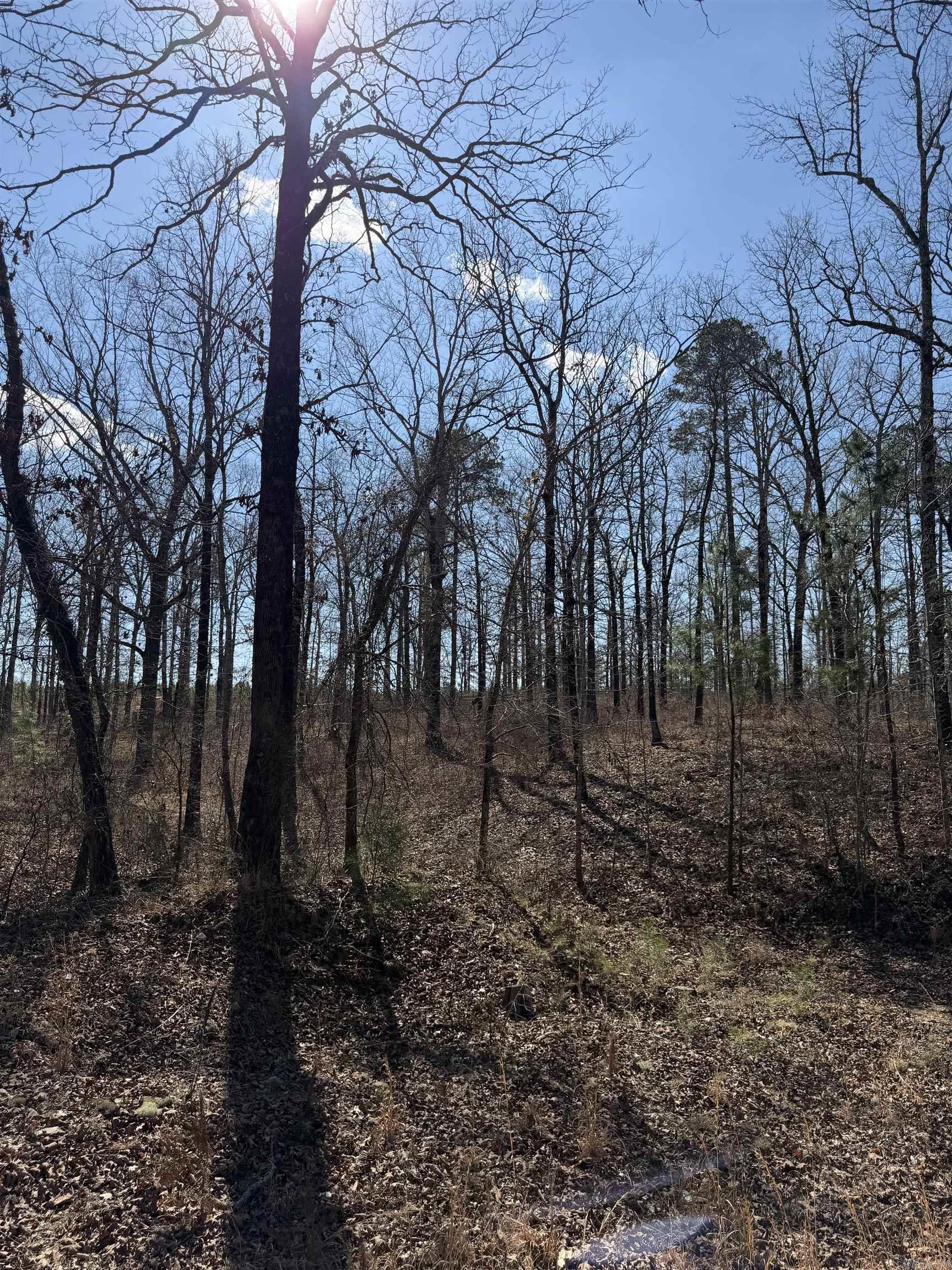 22533 Sulphur Springs Road  Benton, AR