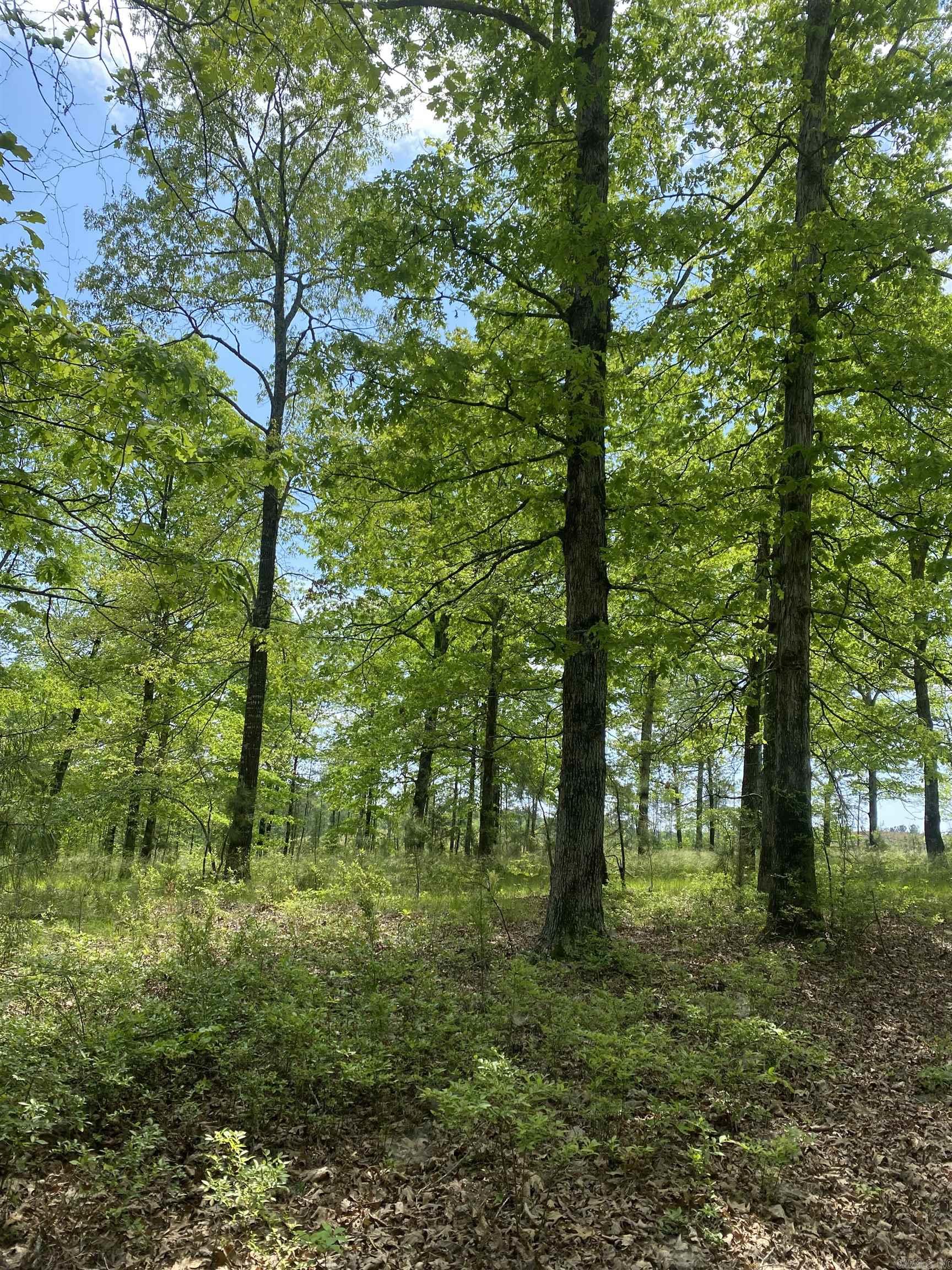 22533 Sulphur Springs Road  Benton, AR