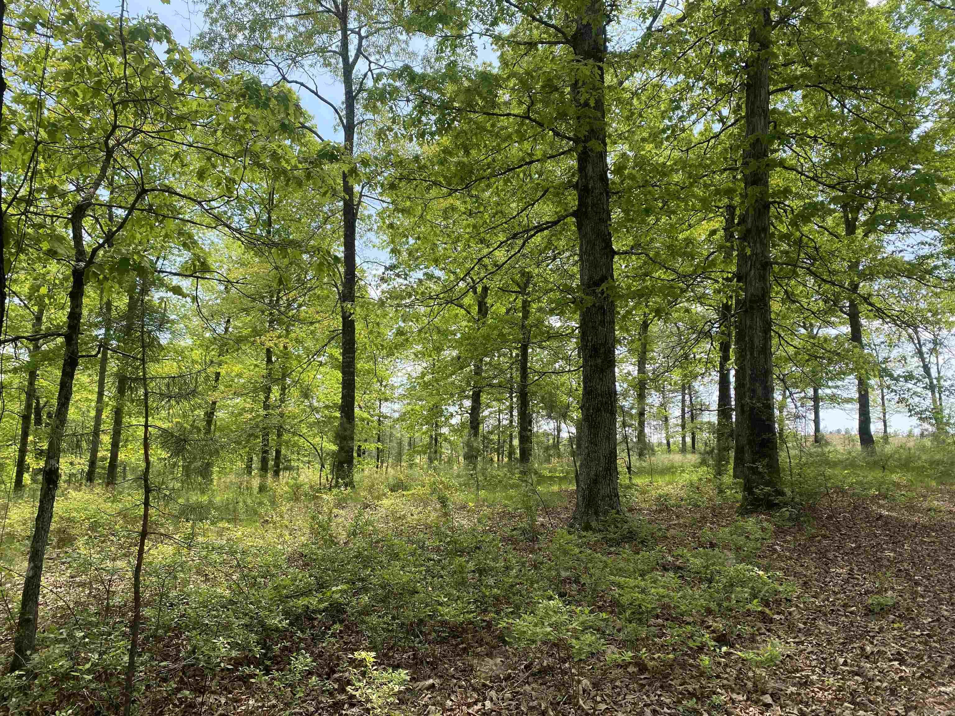 22533 Sulphur Springs Road  Benton, AR