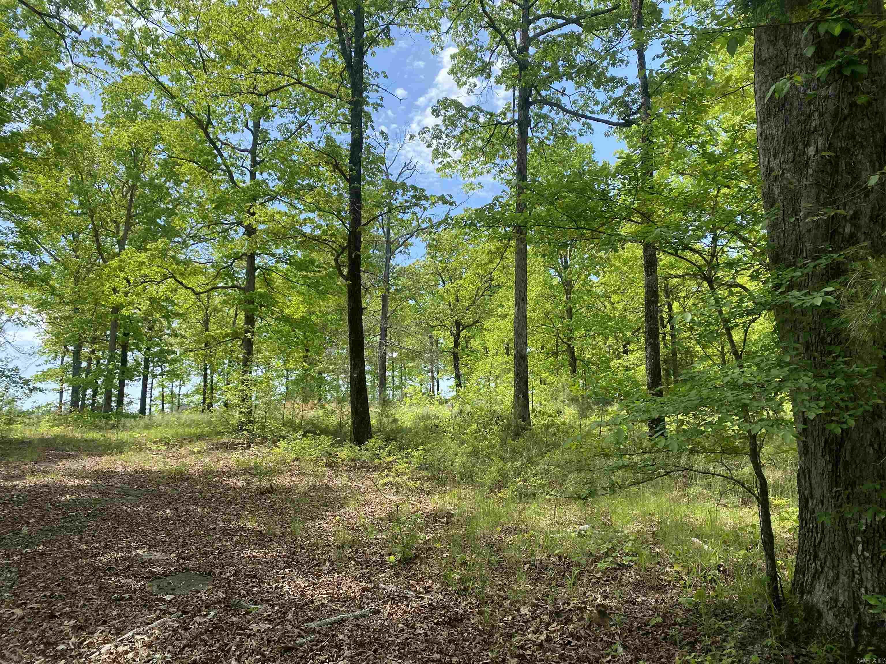 22533 Sulphur Springs Road  Benton, AR