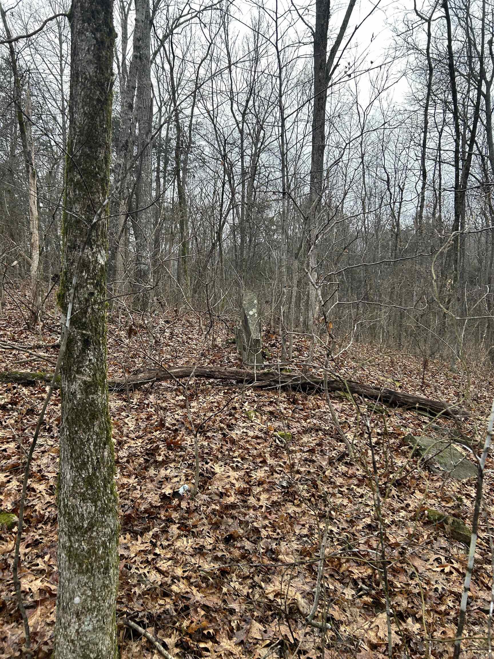 3306 Black Hill Road  Bee Branch, AR