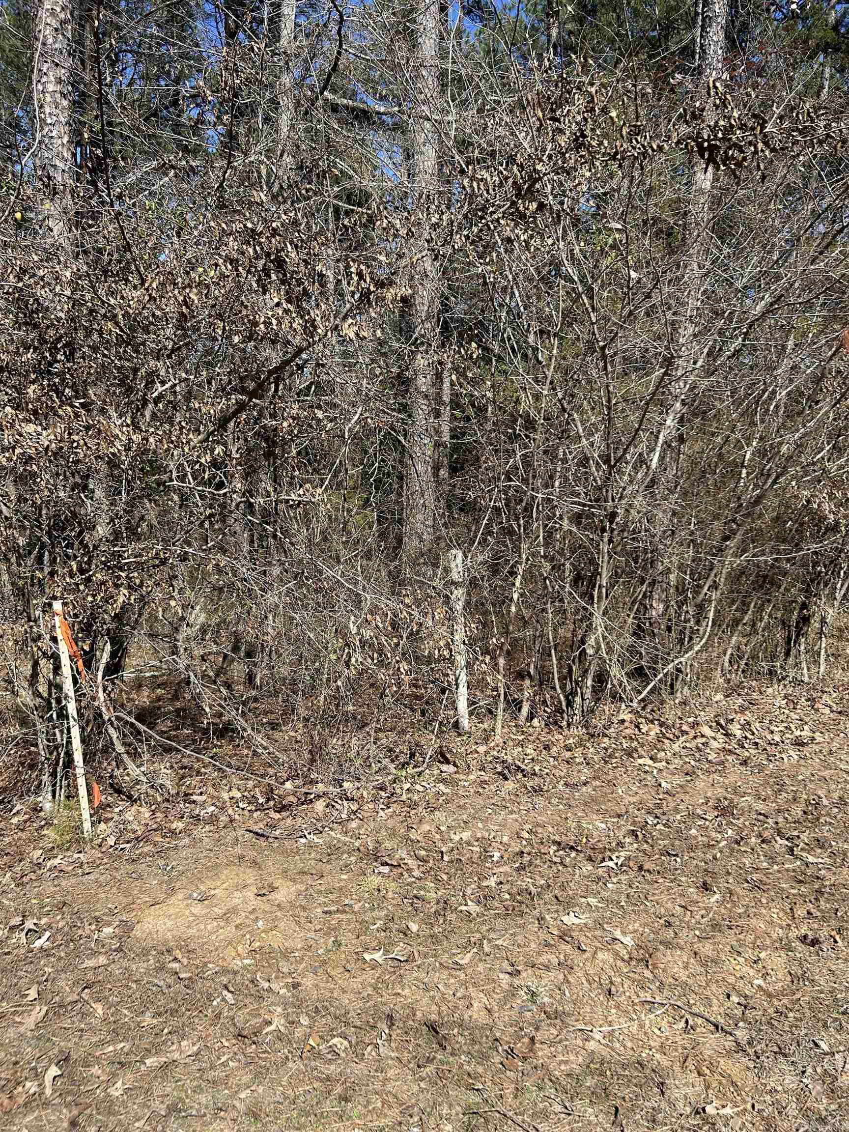 3306 Black Hill Road  Bee Branch, AR