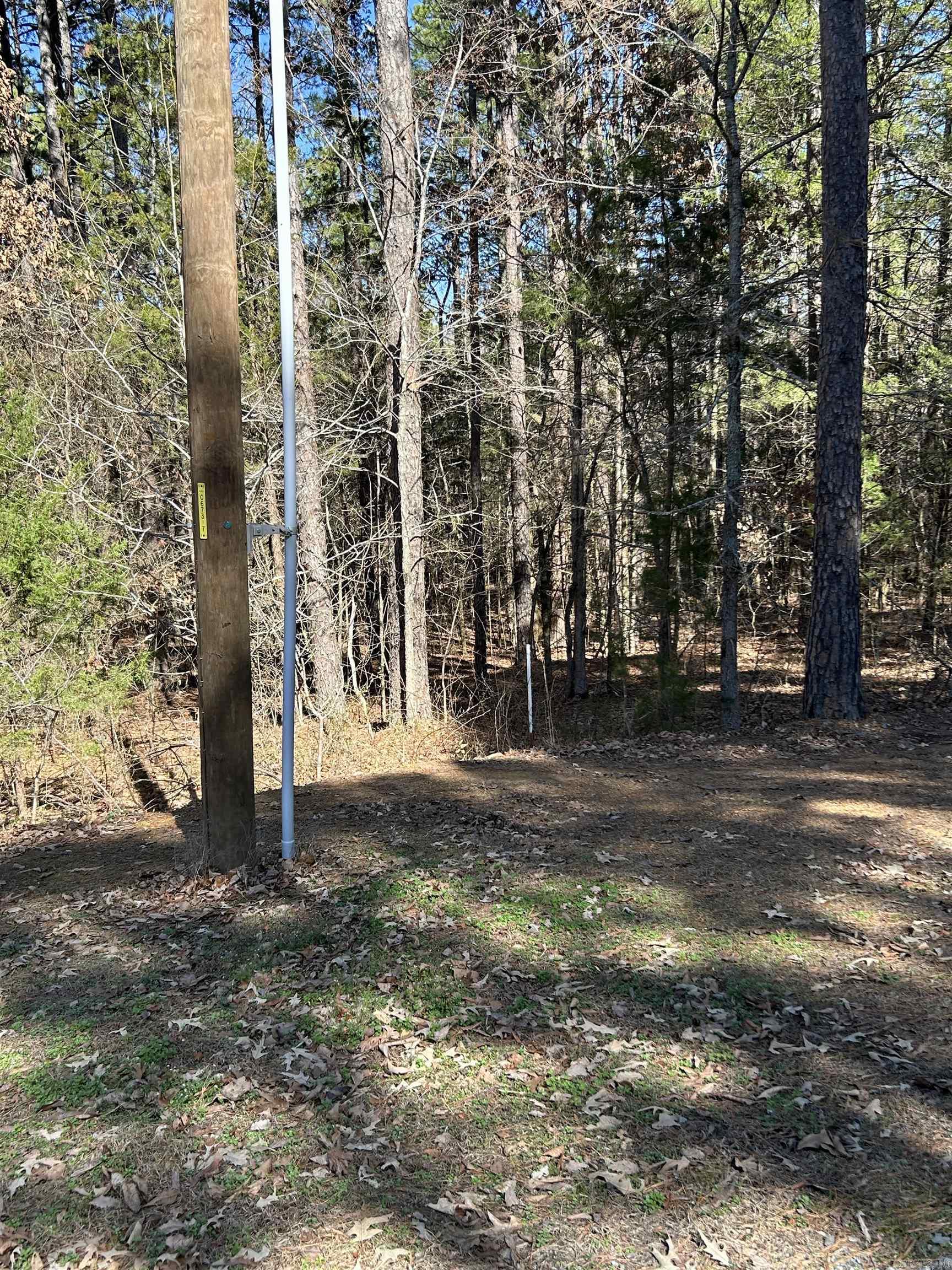 3306 Black Hill Road  Bee Branch, AR