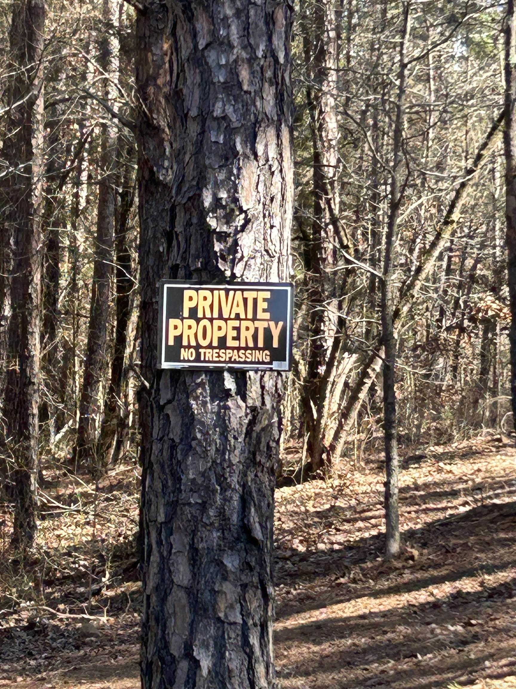 3306 Black Hill Road  Bee Branch, AR