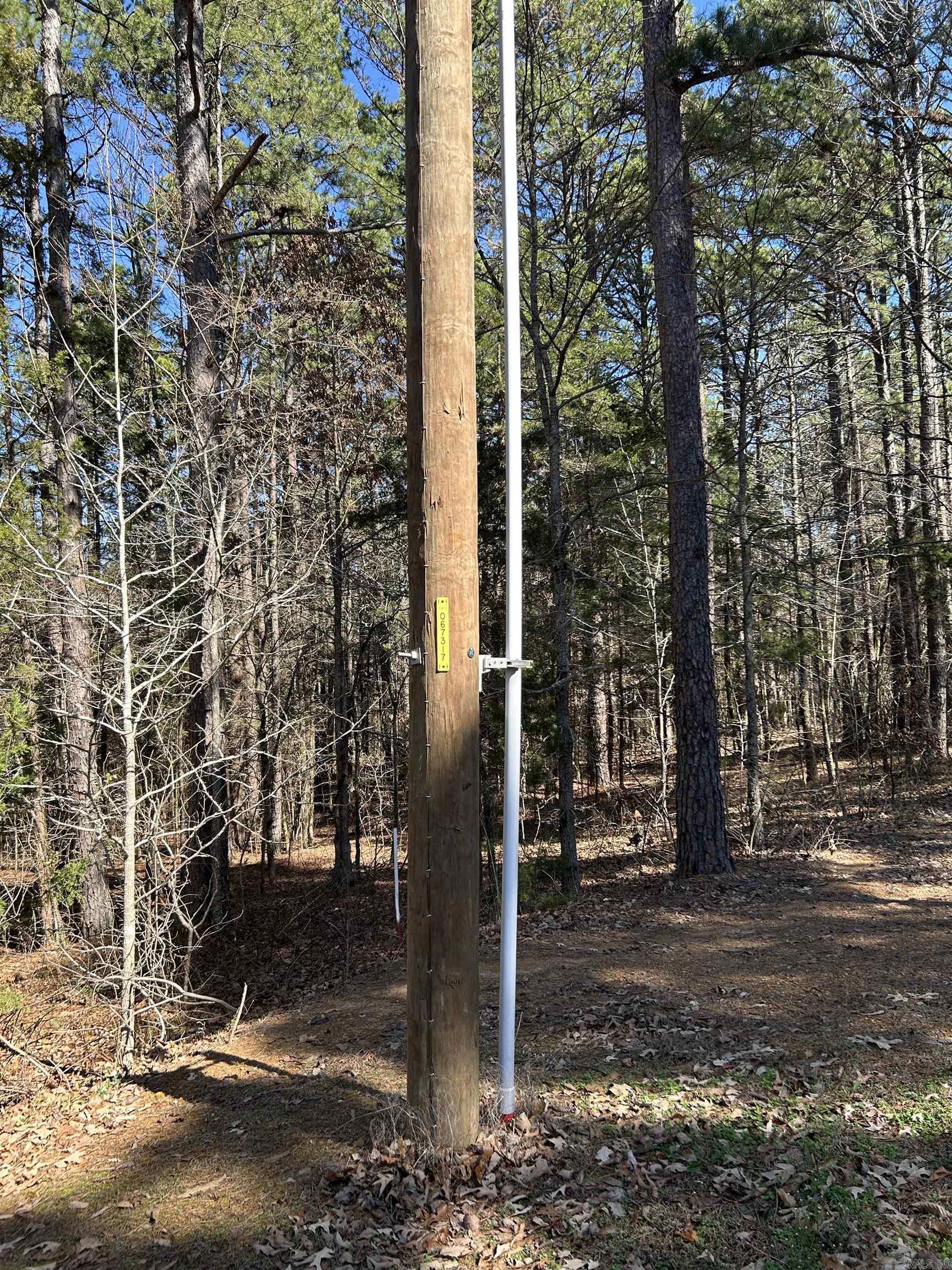 3306 Black Hill Road  Bee Branch, AR