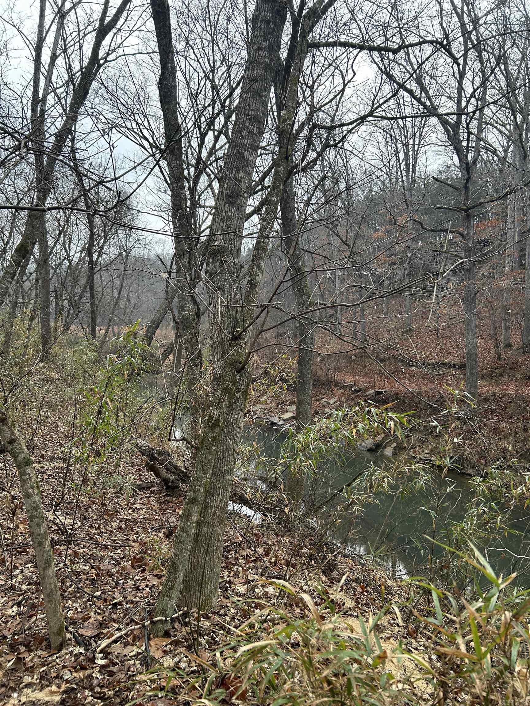 3306 Black Hill Road  Bee Branch, AR