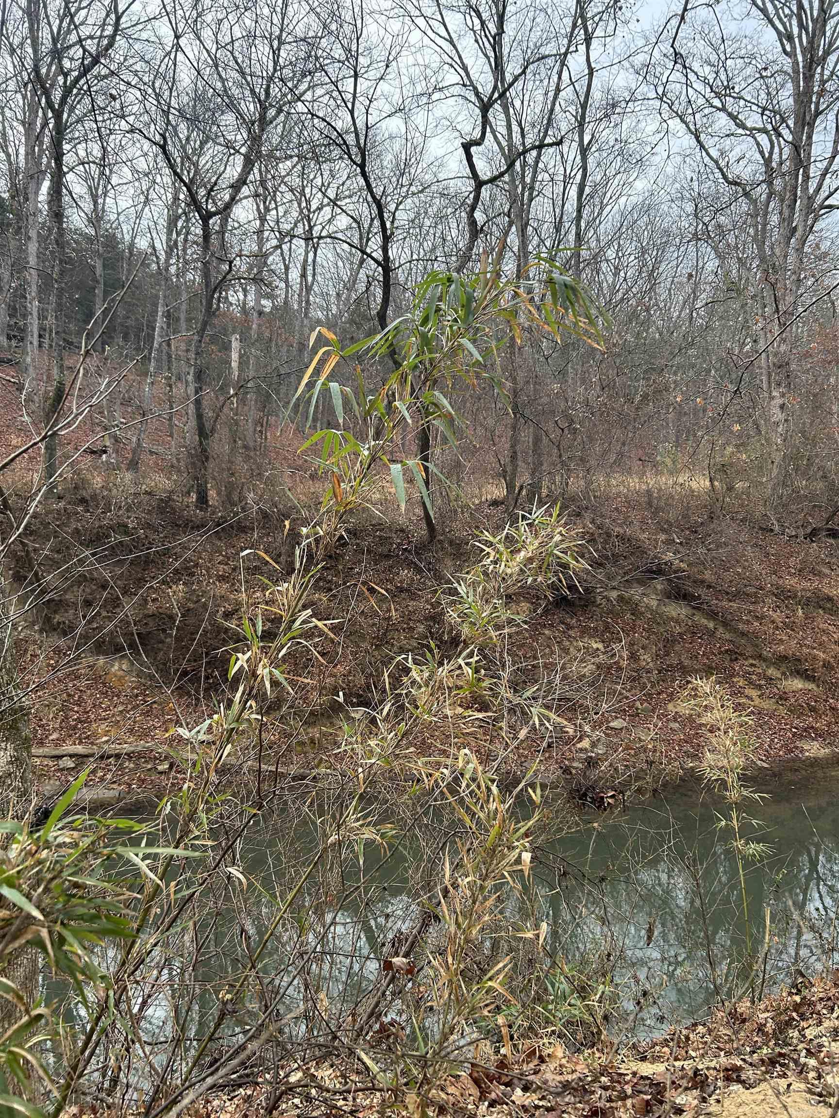 3306 Black Hill Road  Bee Branch, AR