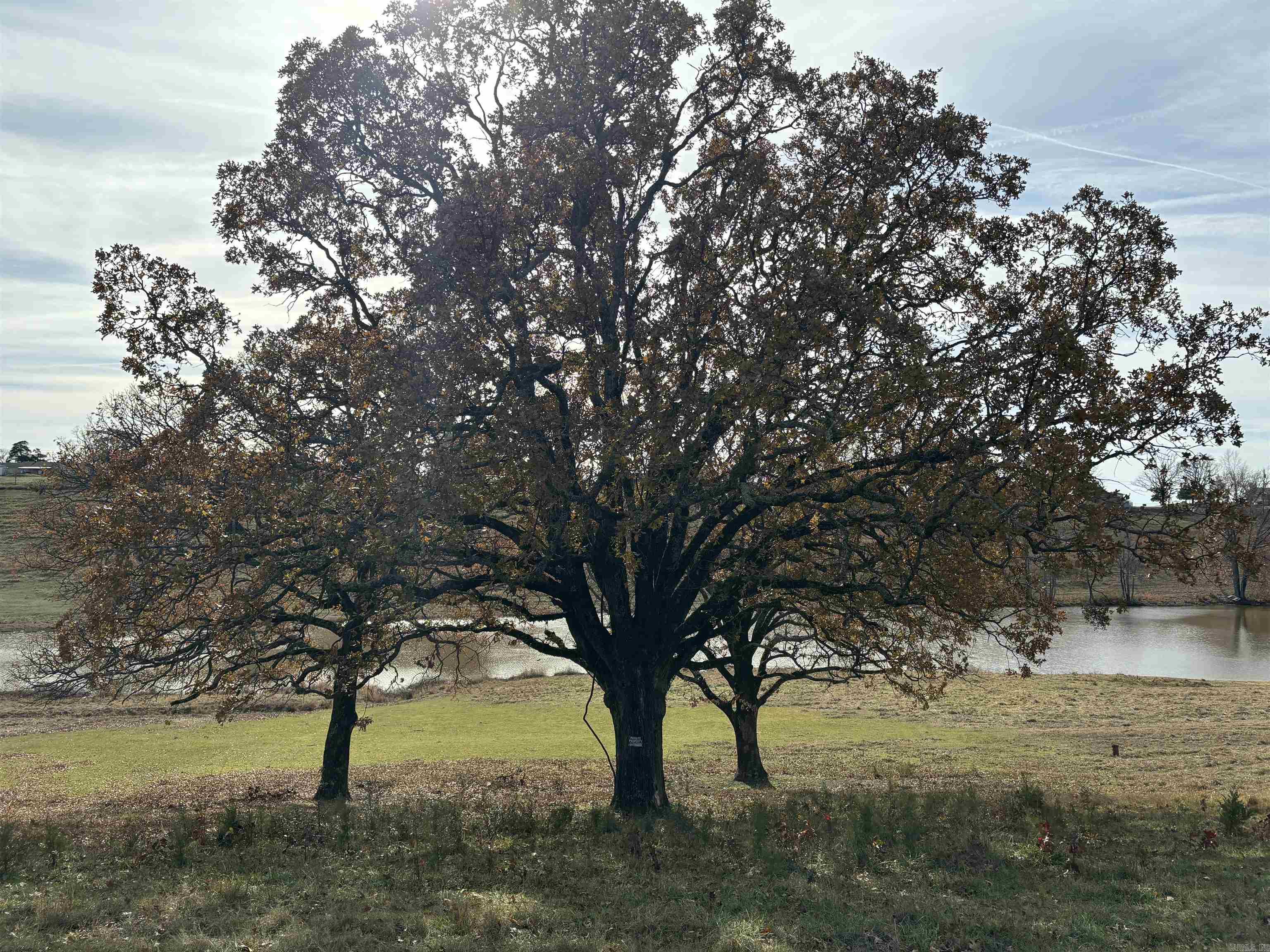 00 Cadron Gap Road  Conway, AR