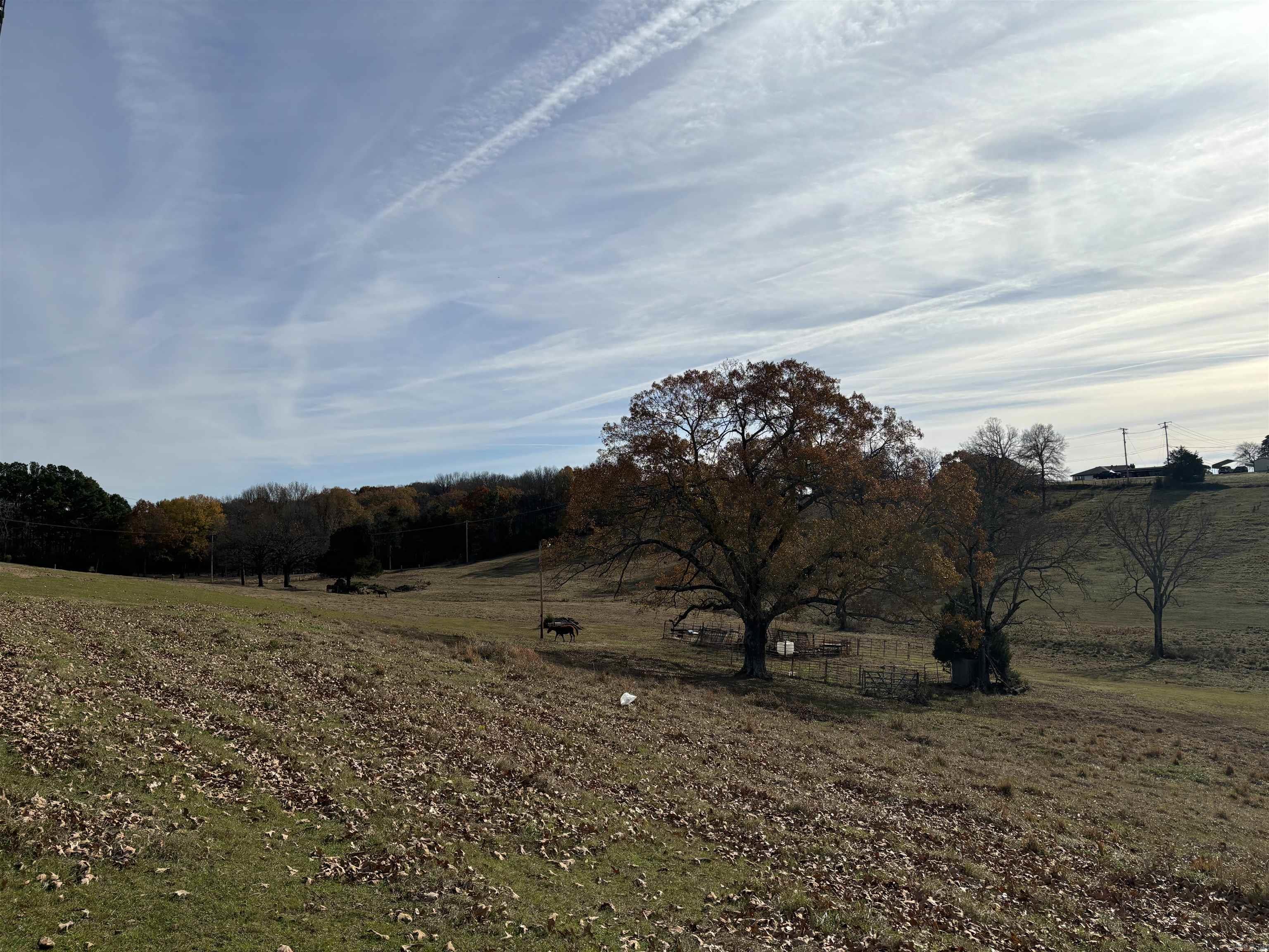 00 Cadron Gap Road  Conway, AR