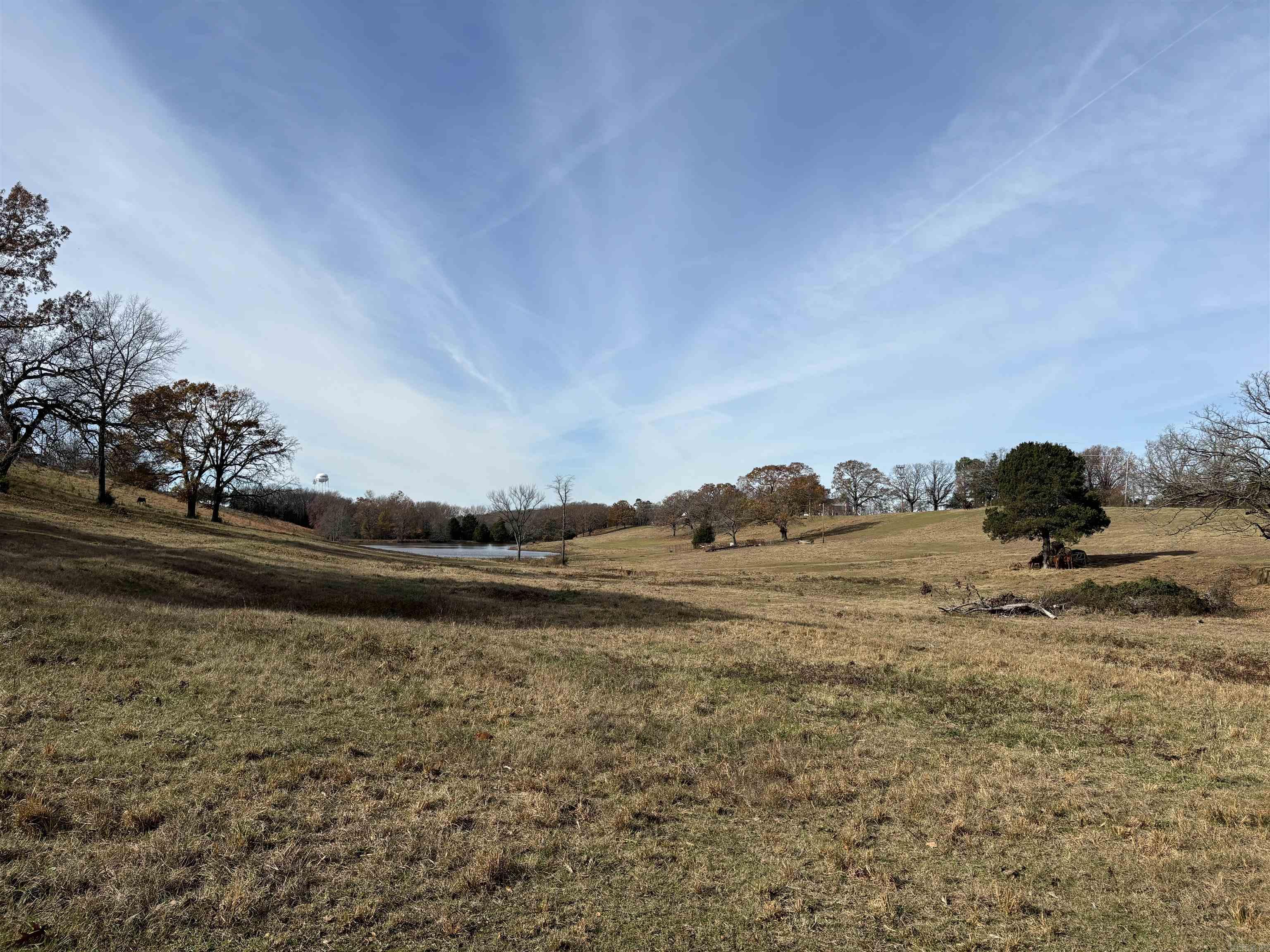 00 Cadron Gap Road  Conway, AR