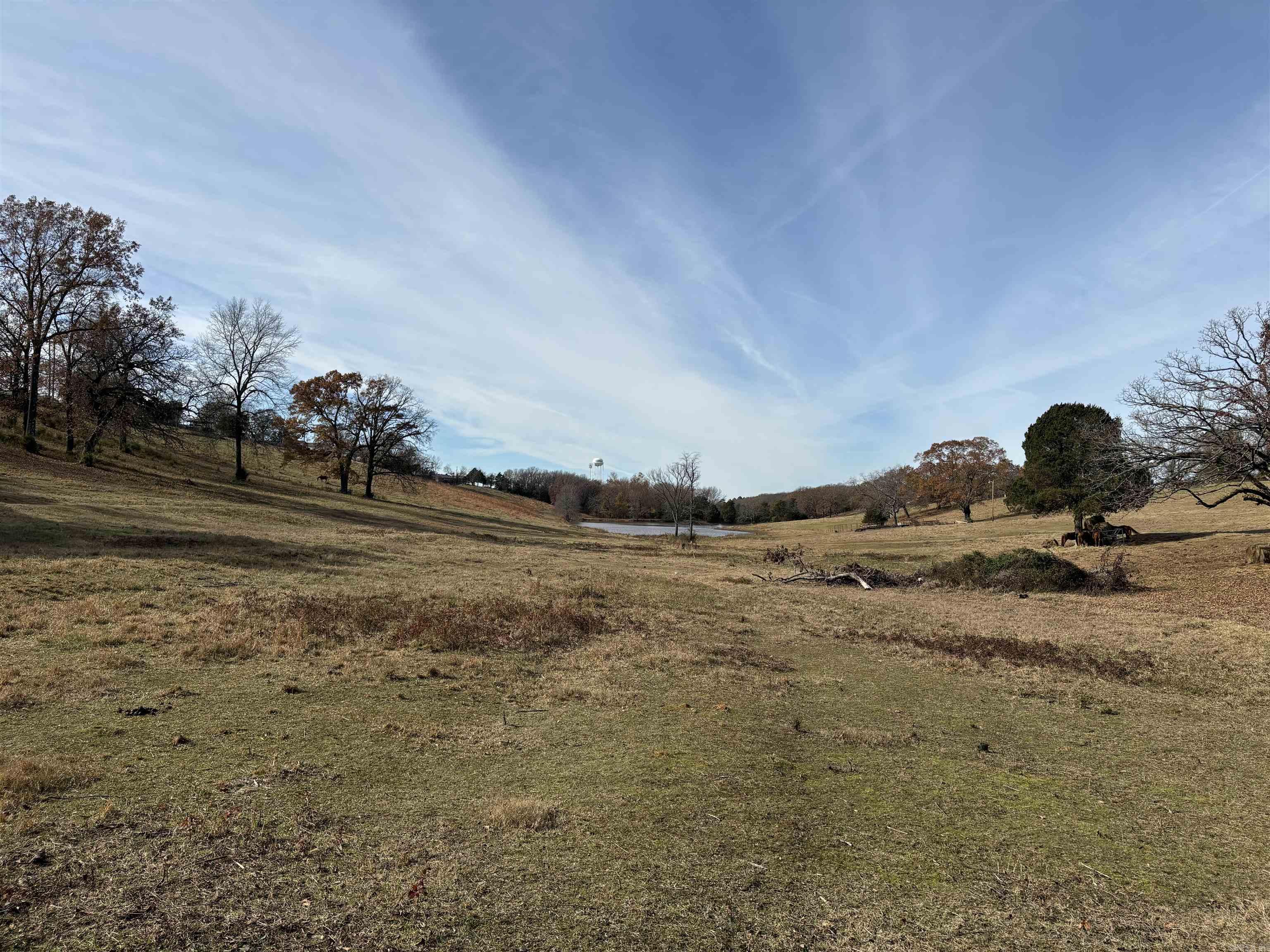 00 Cadron Gap Road  Conway, AR