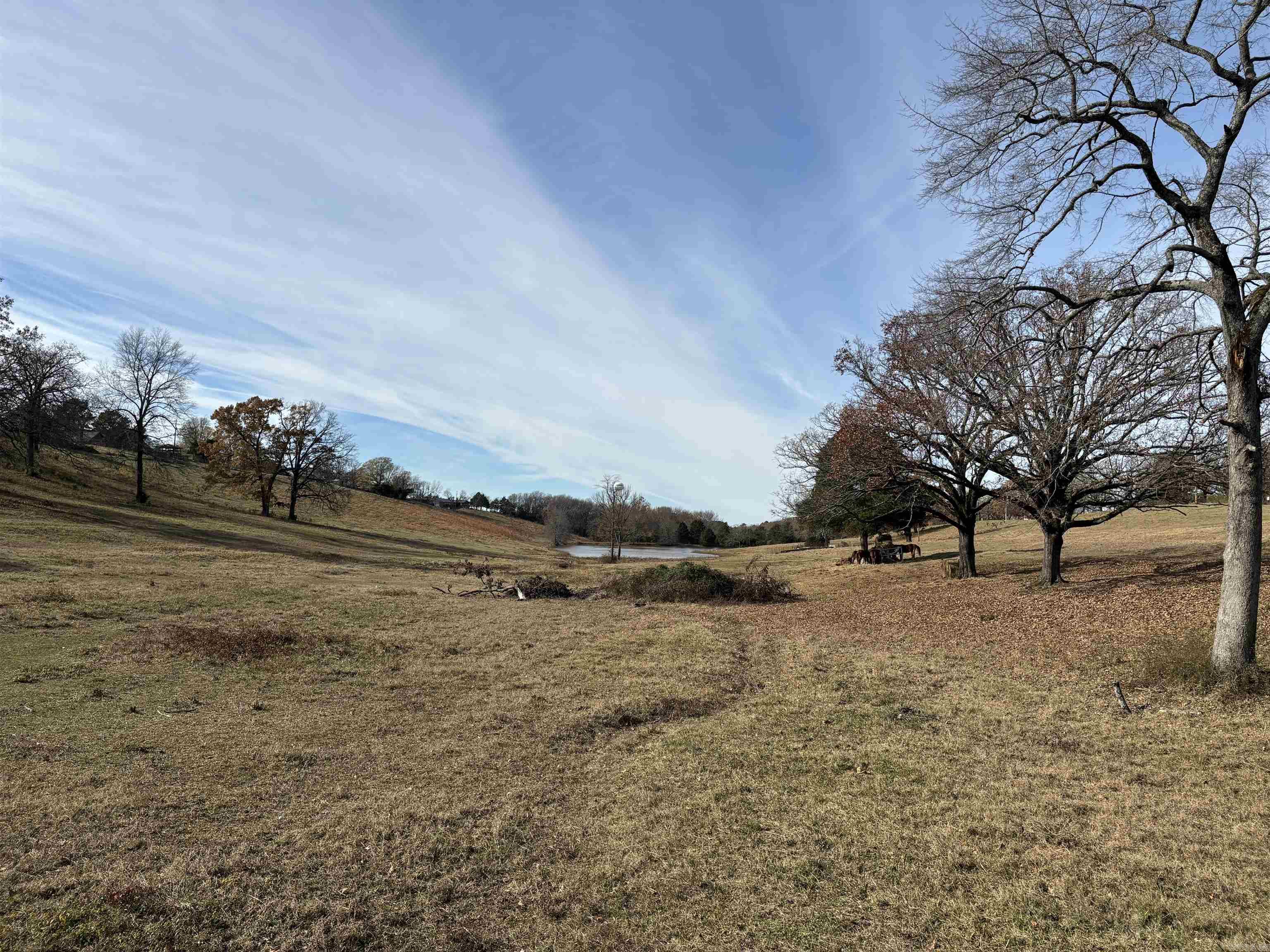 00 Cadron Gap Road  Conway, AR