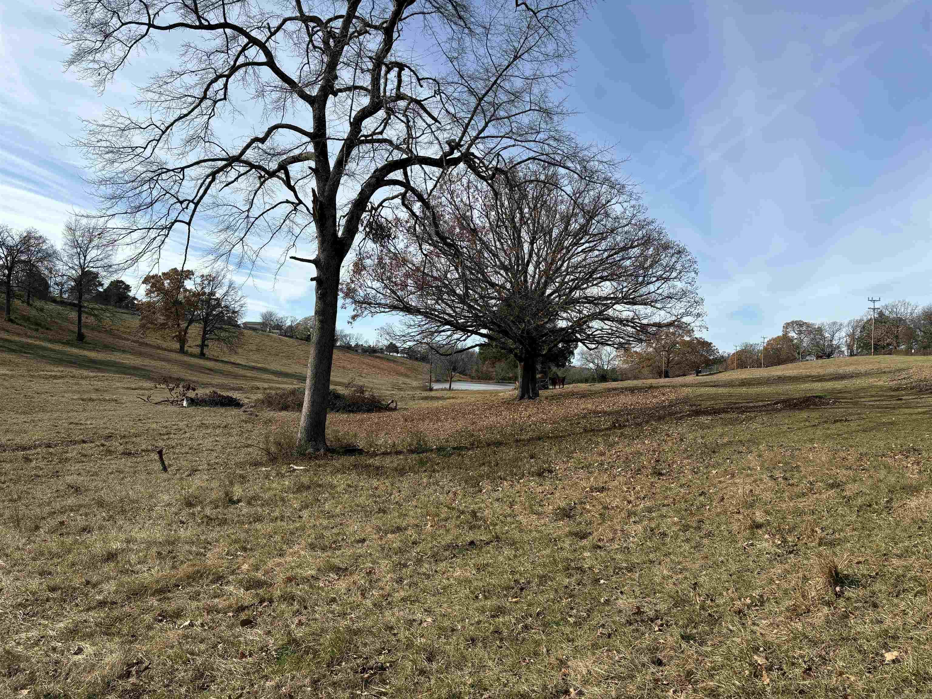 00 Cadron Gap Road  Conway, AR