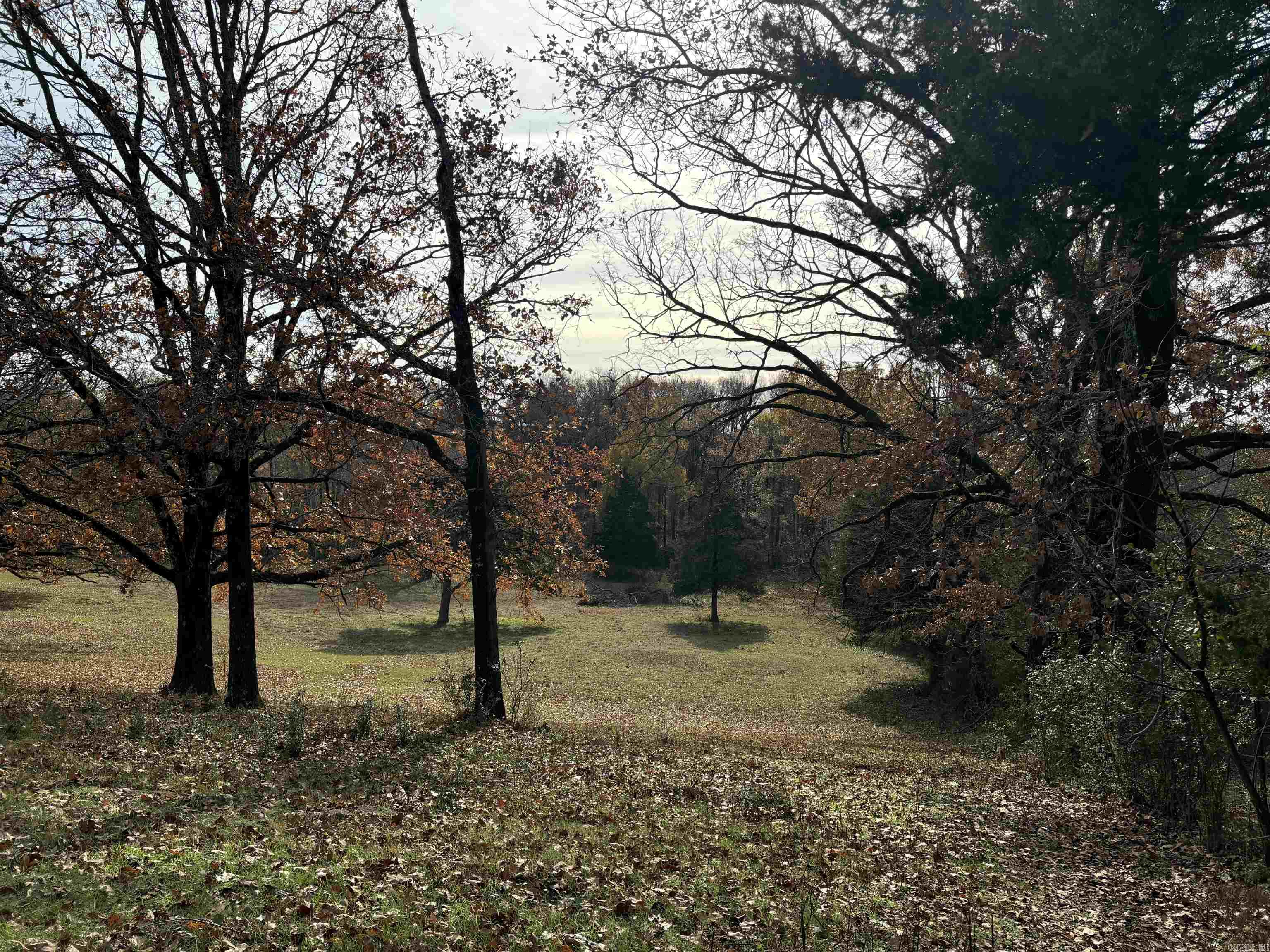 00 Cadron Gap Road  Conway, AR