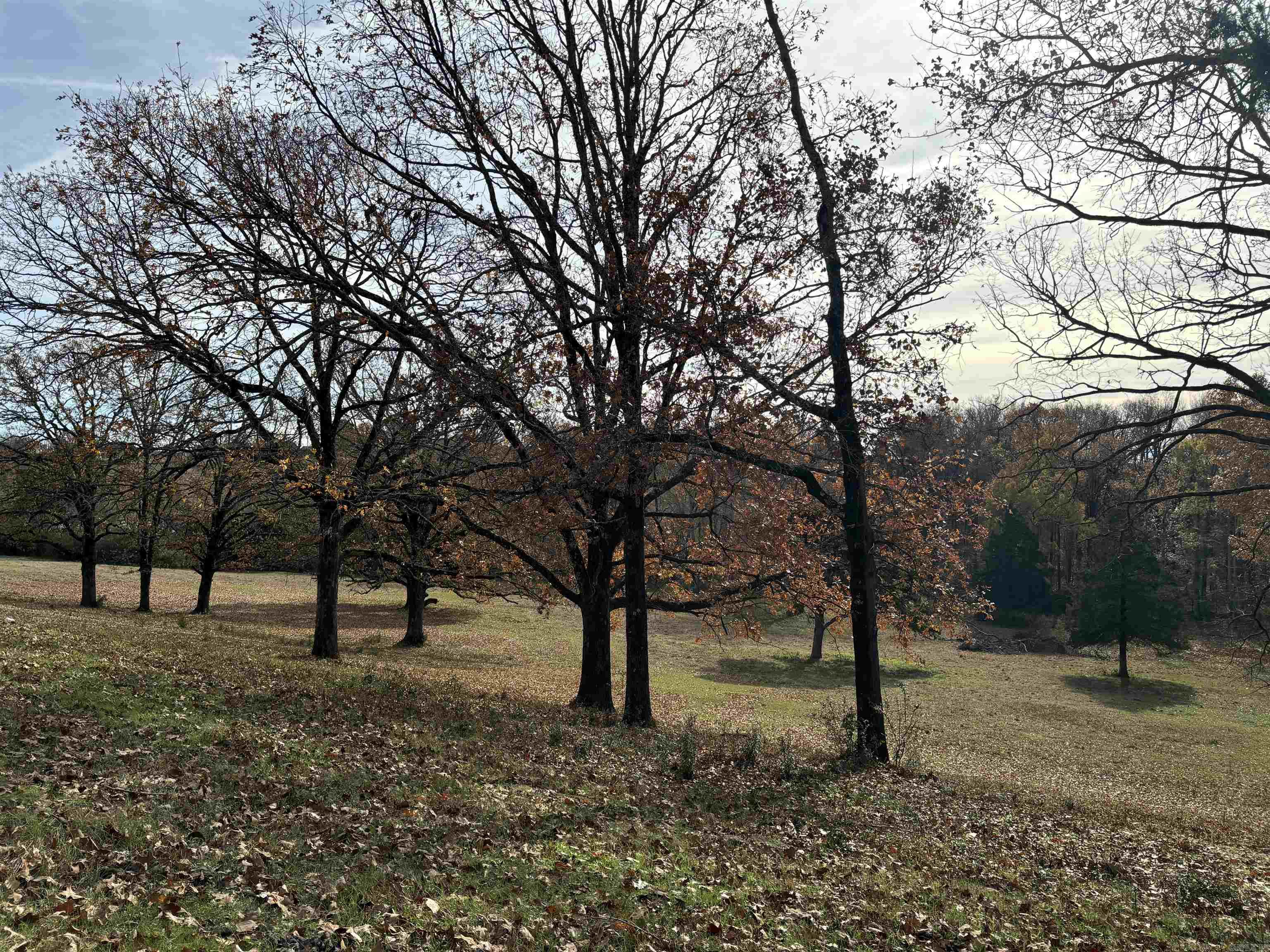 00 Cadron Gap Road  Conway, AR