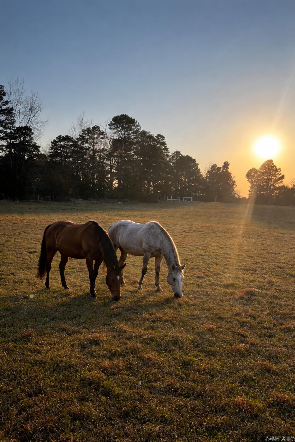 1884 County RD 2651  Lamar, AR