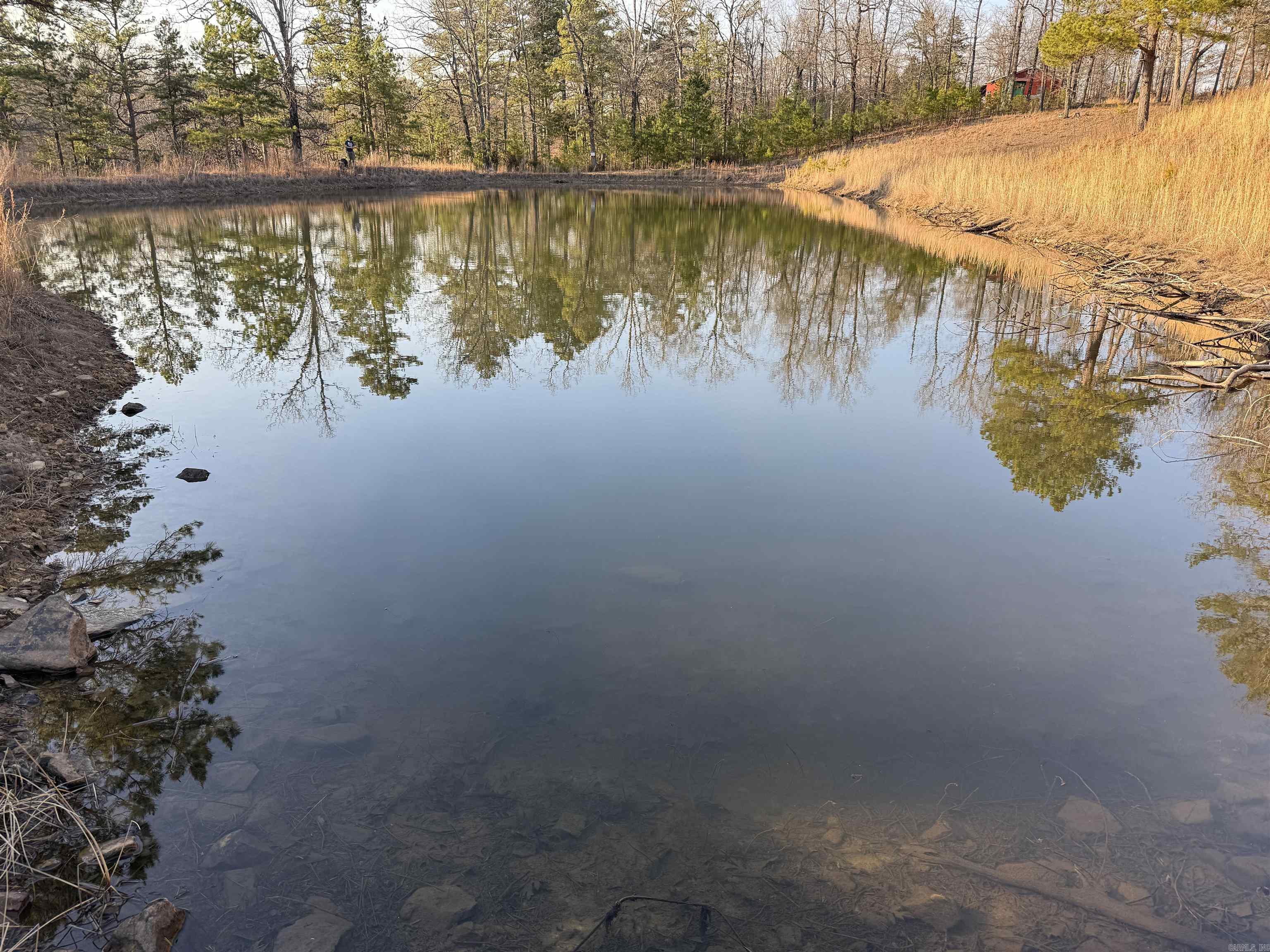 00 Daniel Hill  Leslie, AR