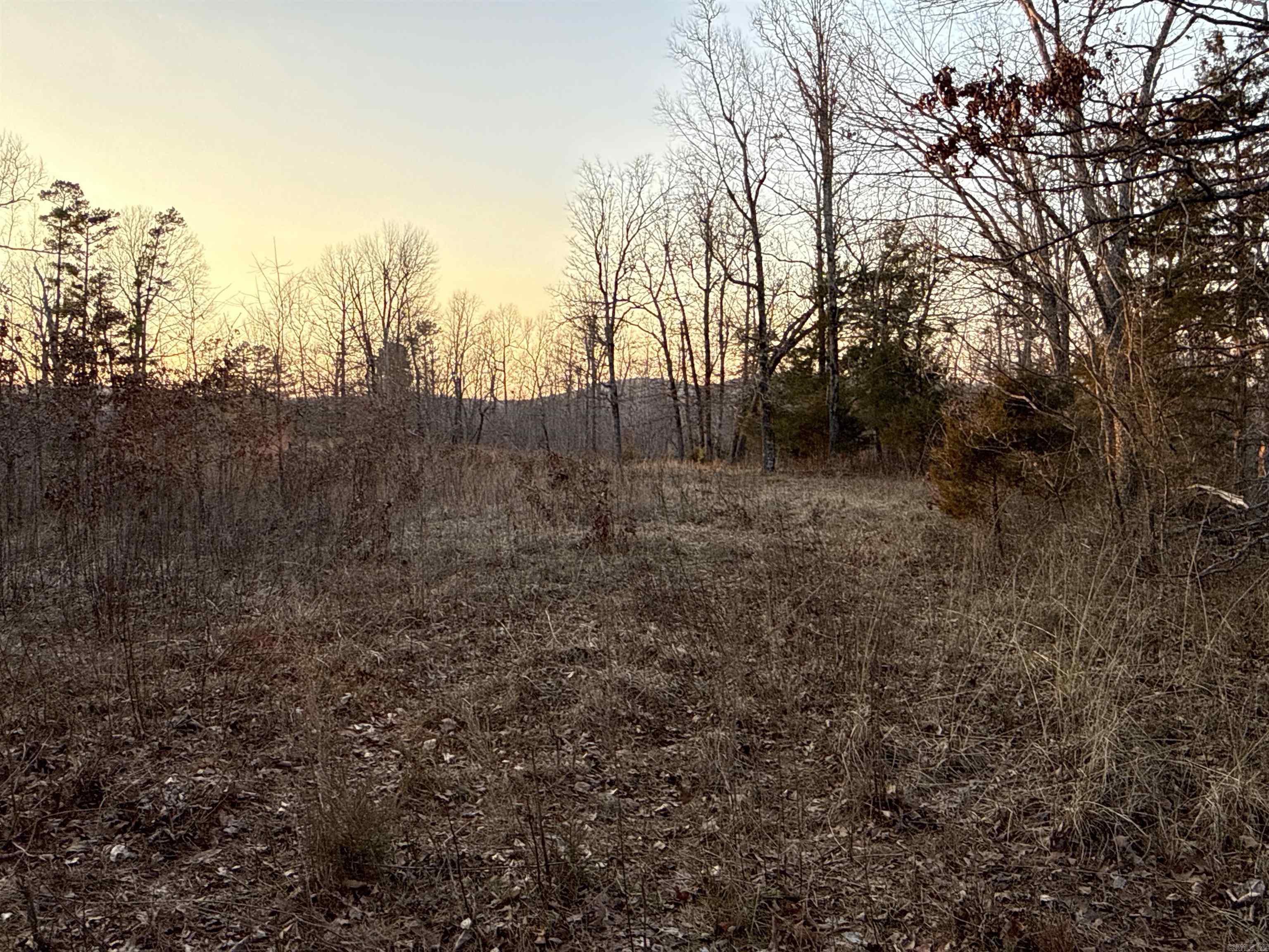 00 Daniel Hill  Leslie, AR