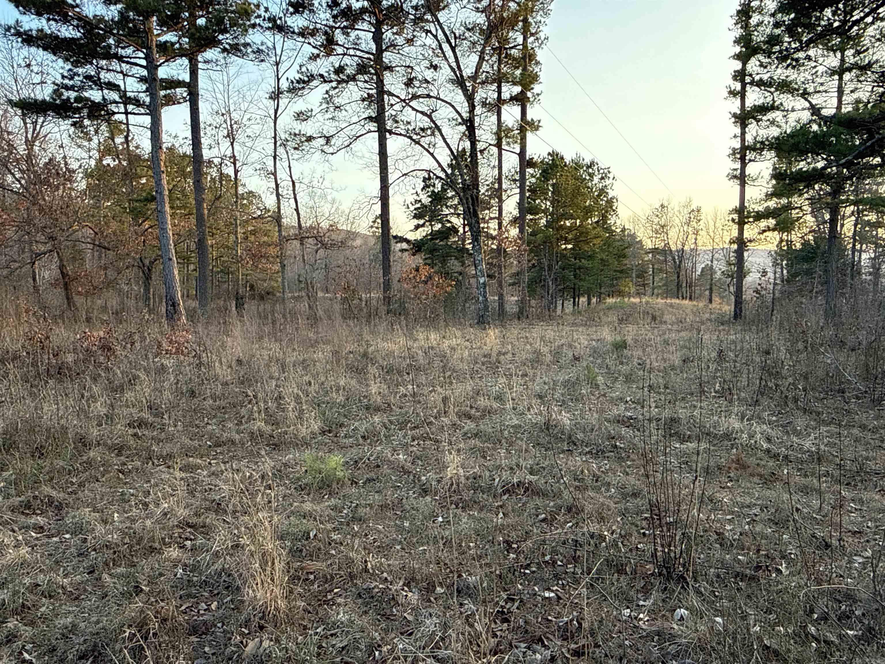 00 Daniel Hill  Leslie, AR