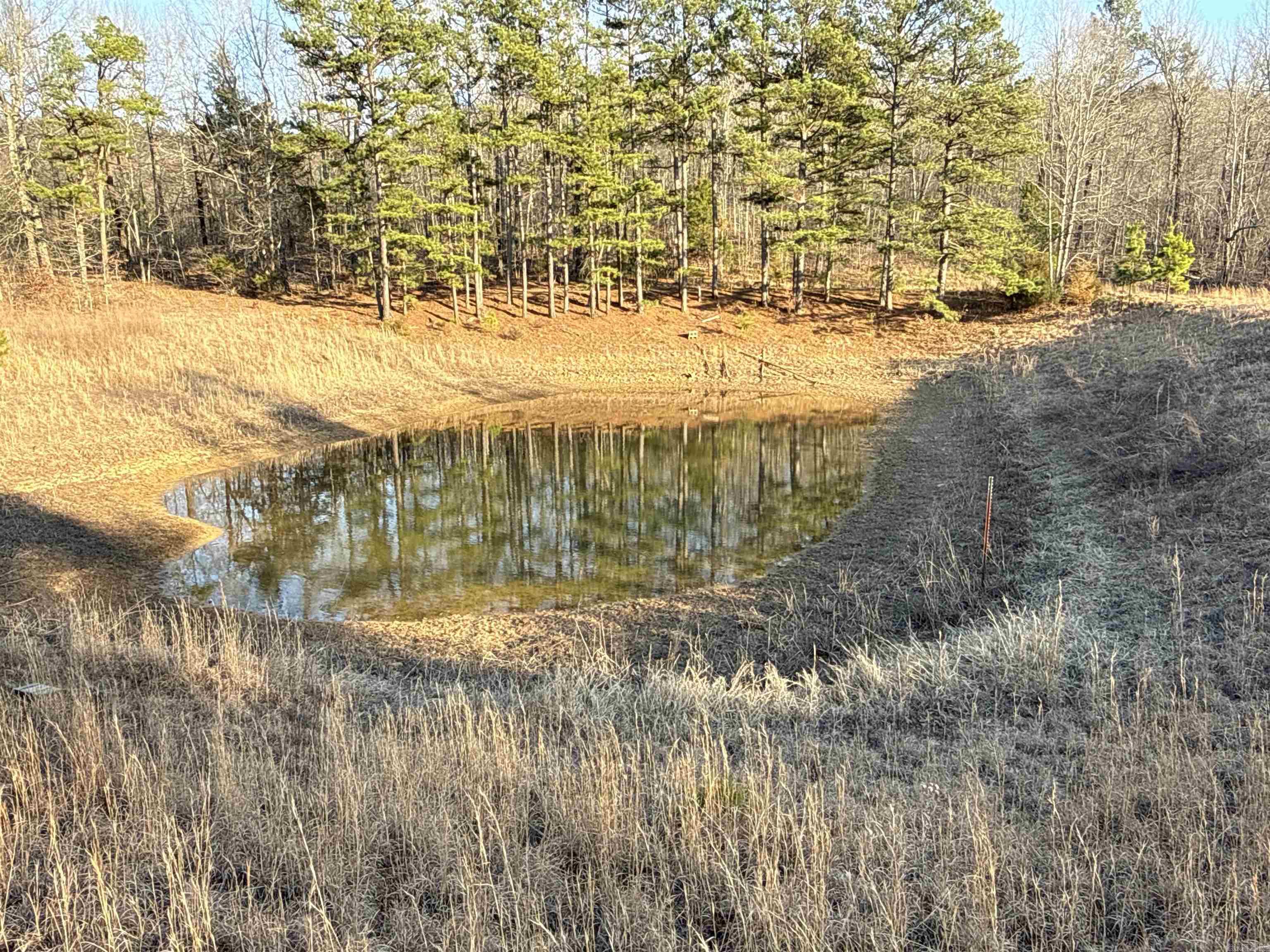 00 Daniel Hill  Leslie, AR