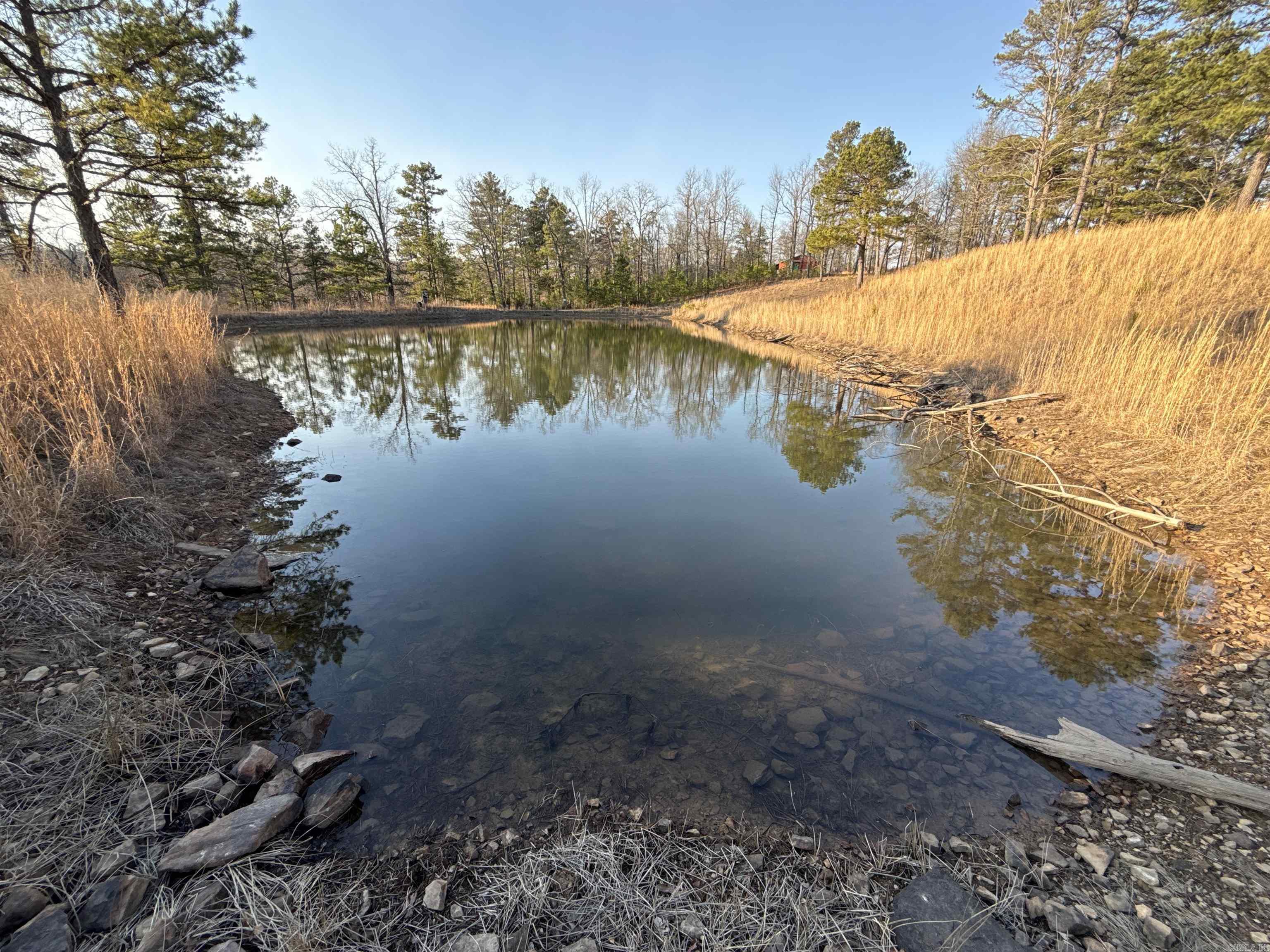 00 Daniel Hill  Leslie, AR