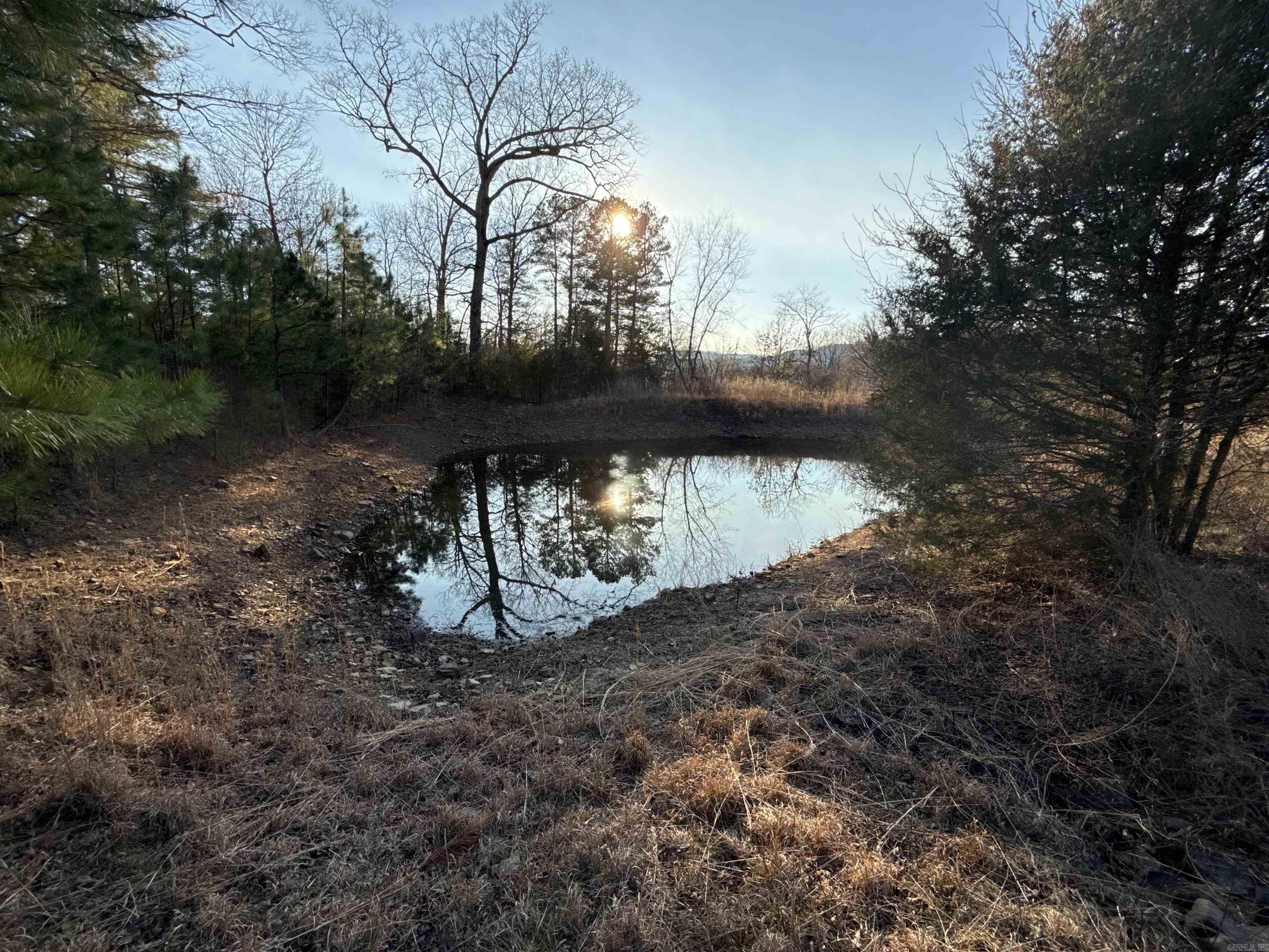 00 Daniel Hill  Leslie, AR