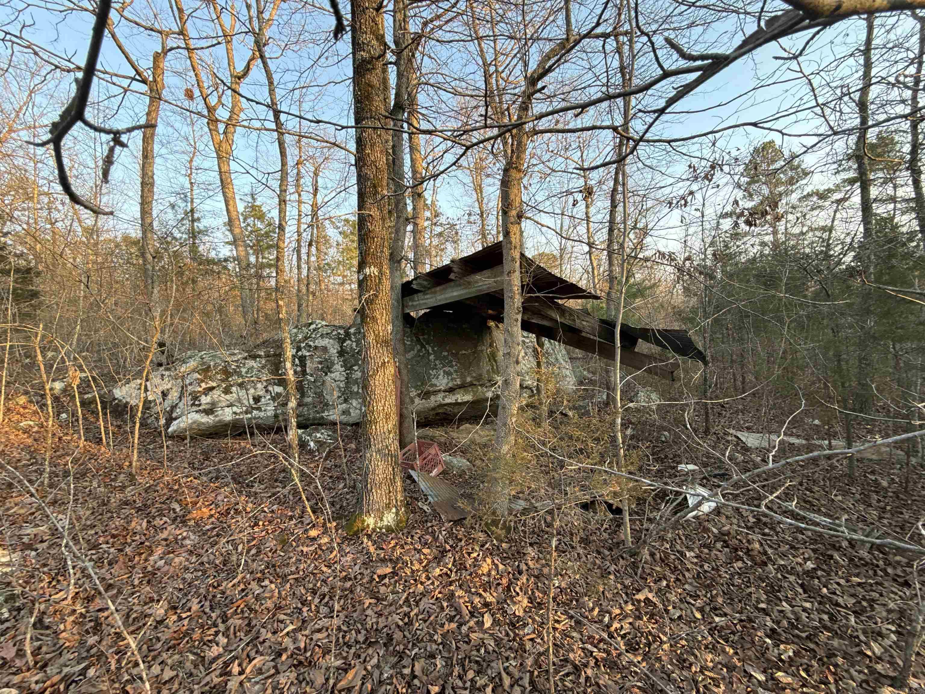 00 Daniel Hill  Leslie, AR